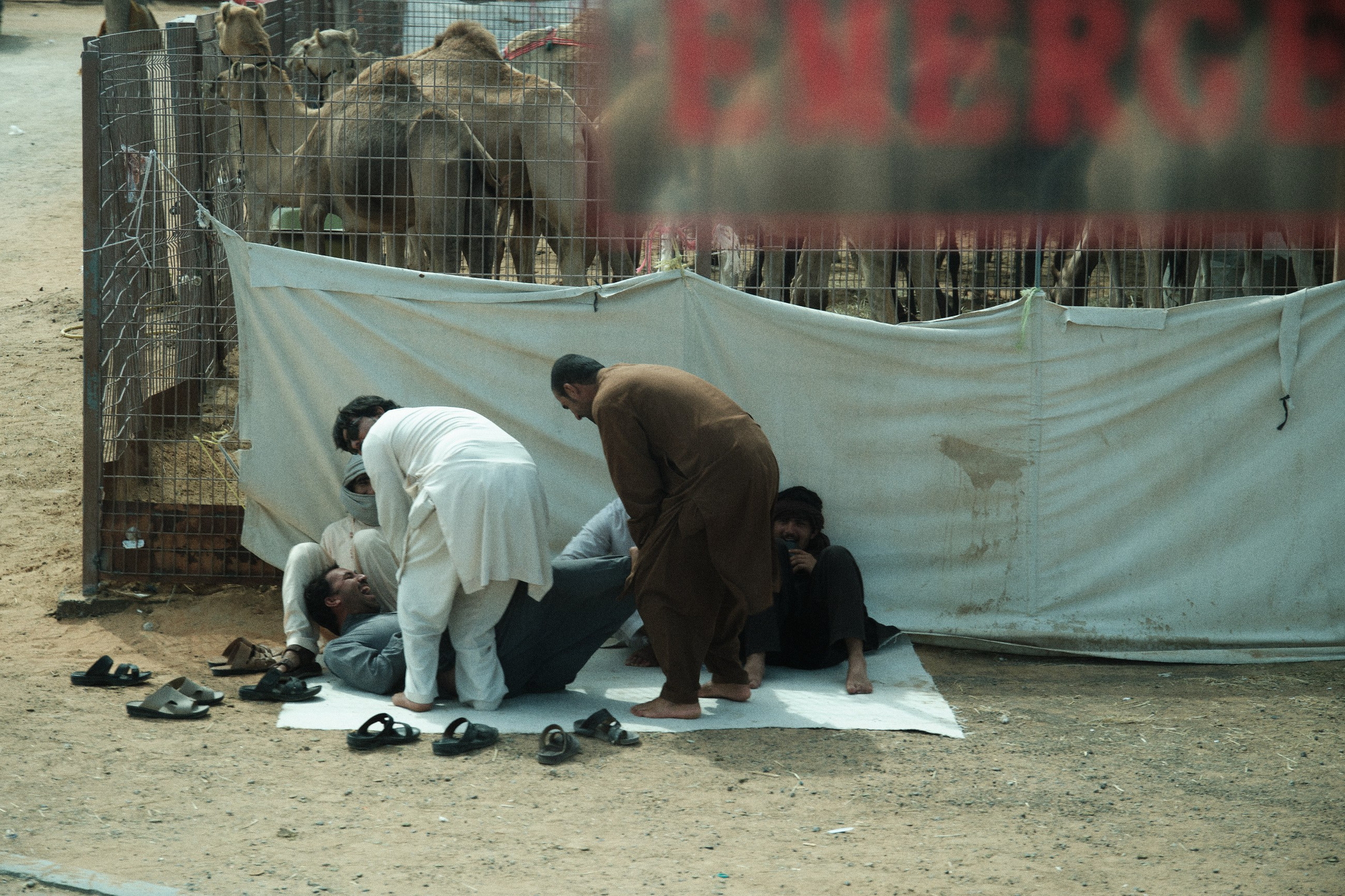Оман. ОАЭ. Катар. Бахрейн. Юрий Березнюк. Фотожурналистика