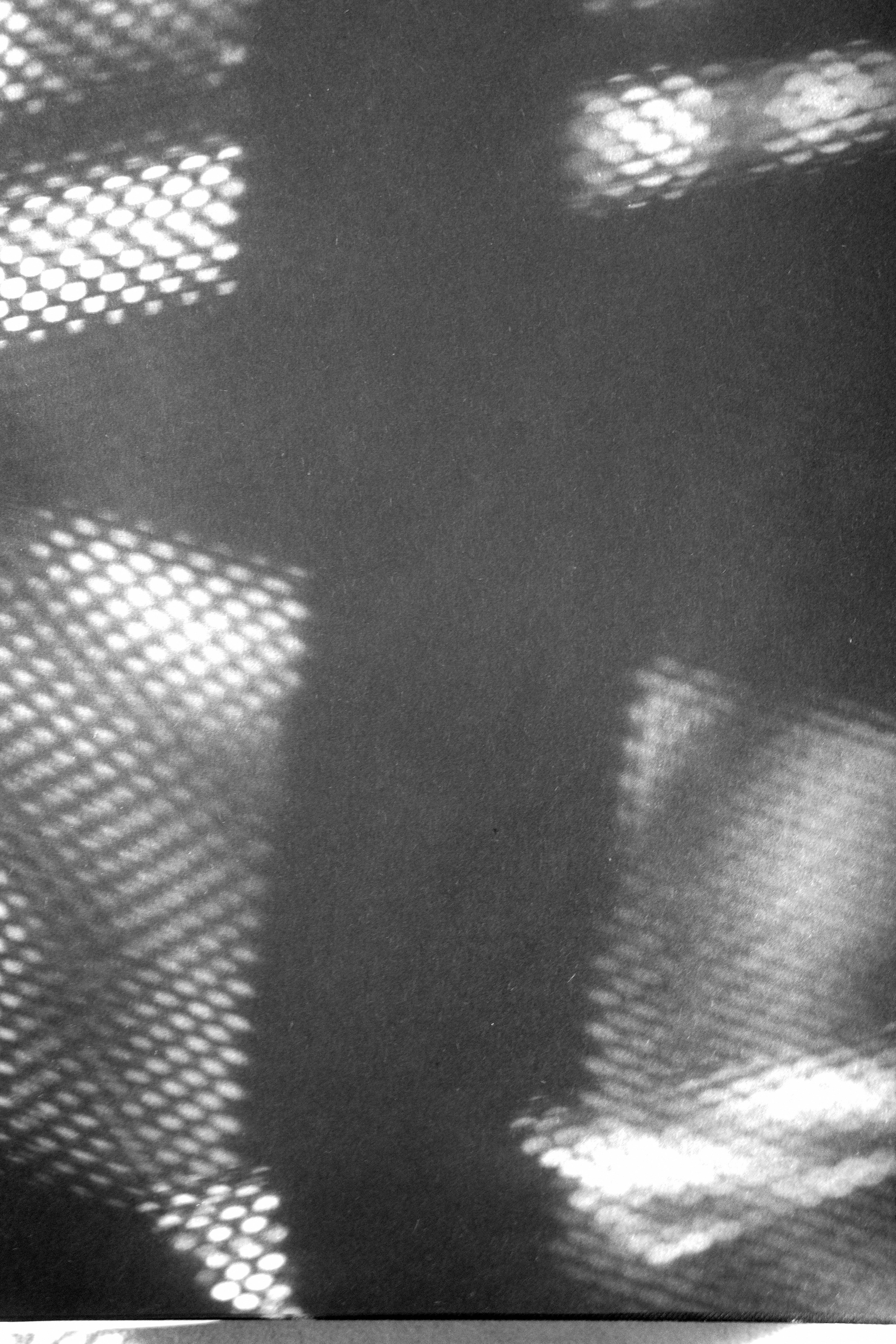 Сетка 🏁. Миша Печёнкин | фотография