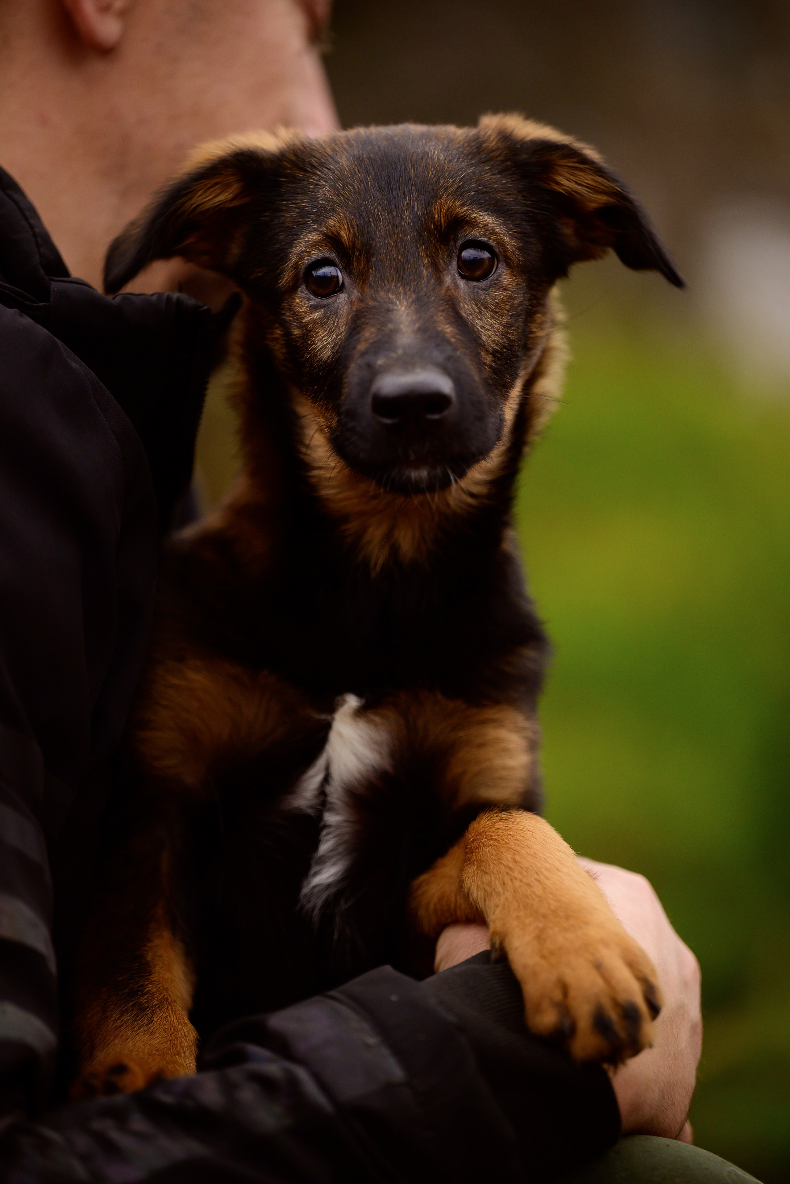 Круассанчики. Мила Астахова