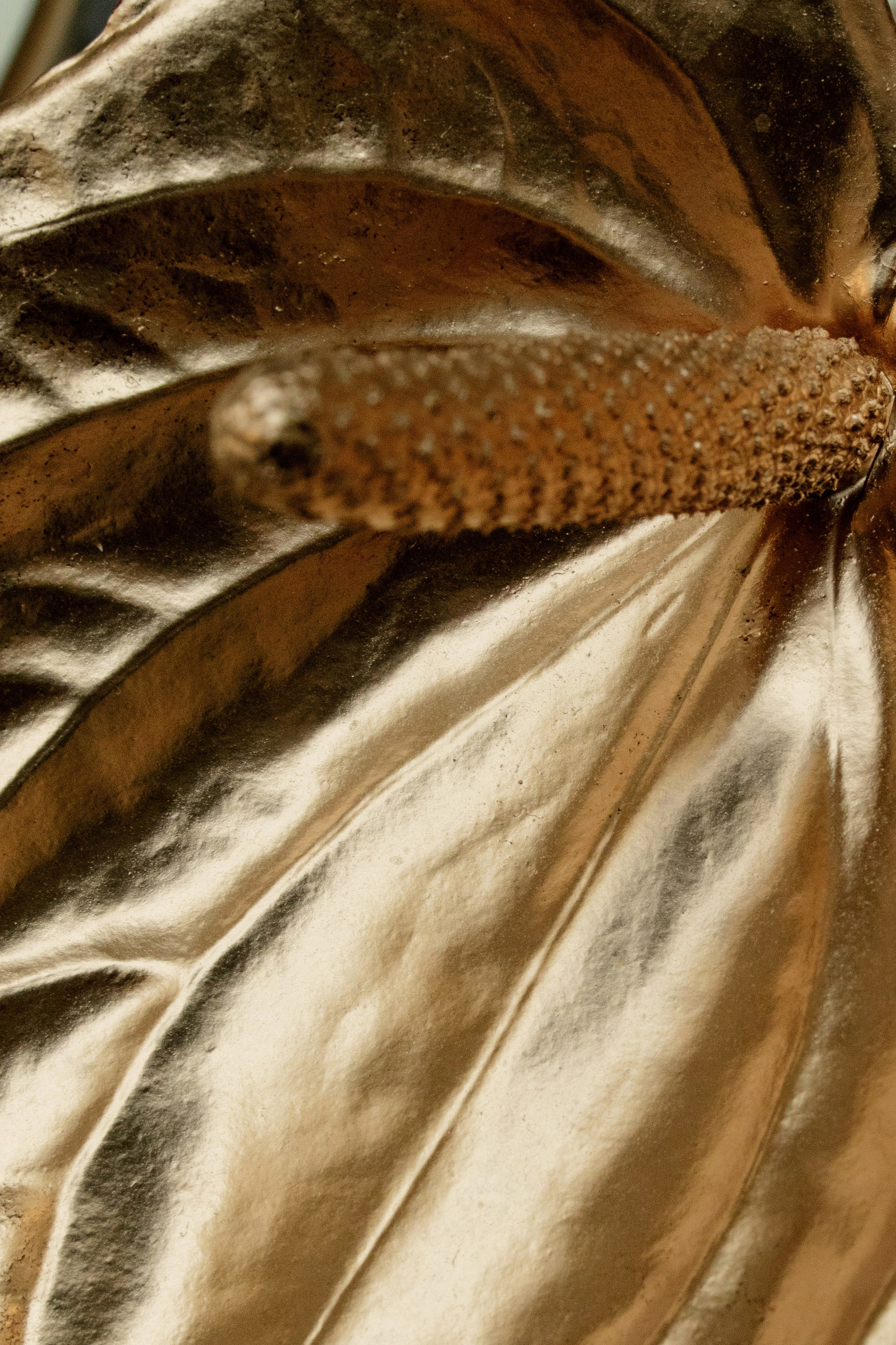 Дороже золота…. СВАДЕБНЫЙ ФОТОГРАФ В КРЫМУ И СЕВАСТОПОЛЕ