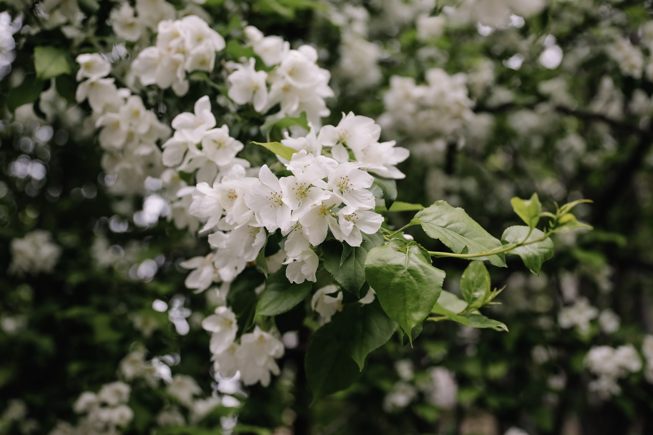 Личные фотосъемки. Репортажный фотограф в Мурманской области