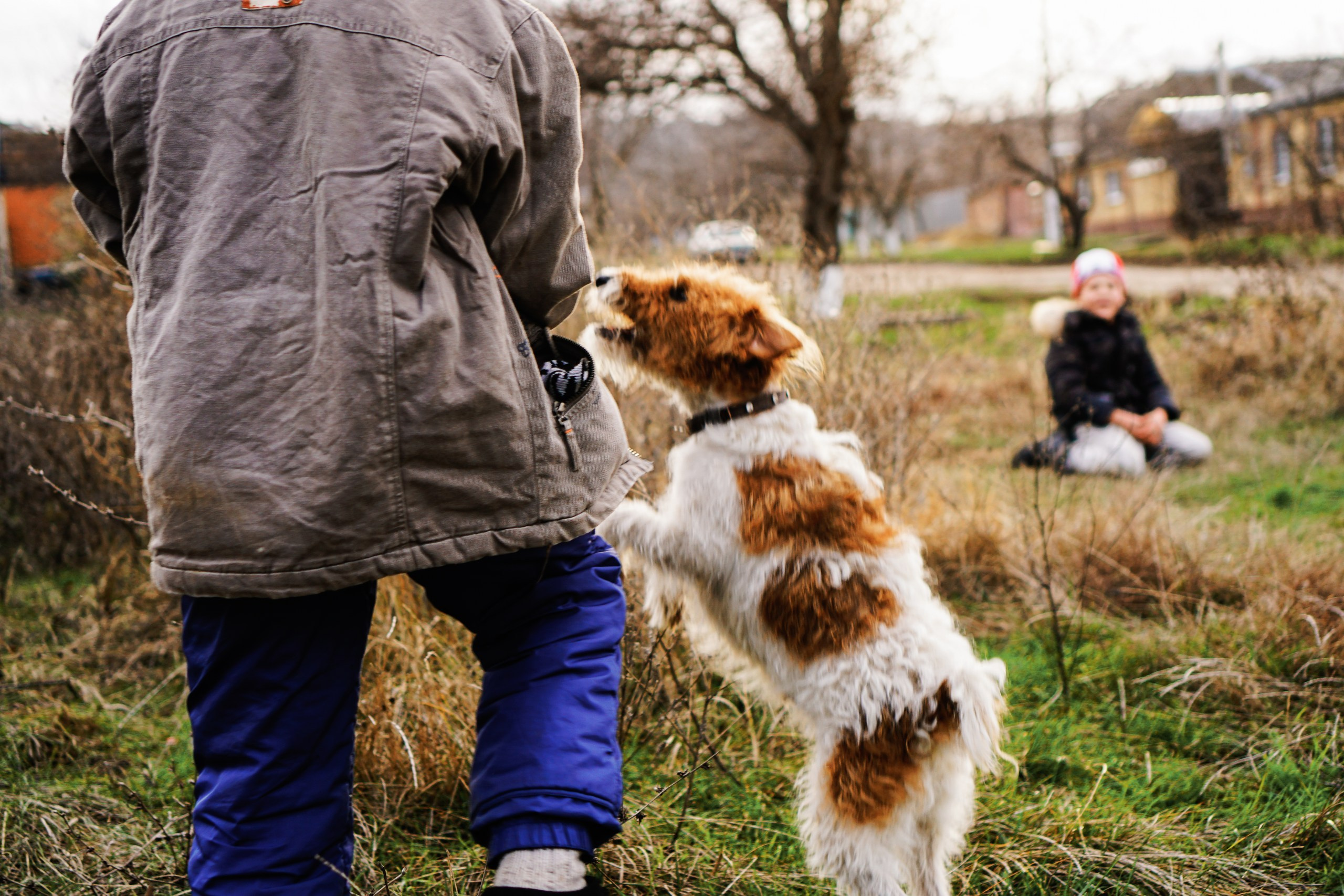 Ребята с нашего двора. Семейный фотограф в Москве Ирина Жур