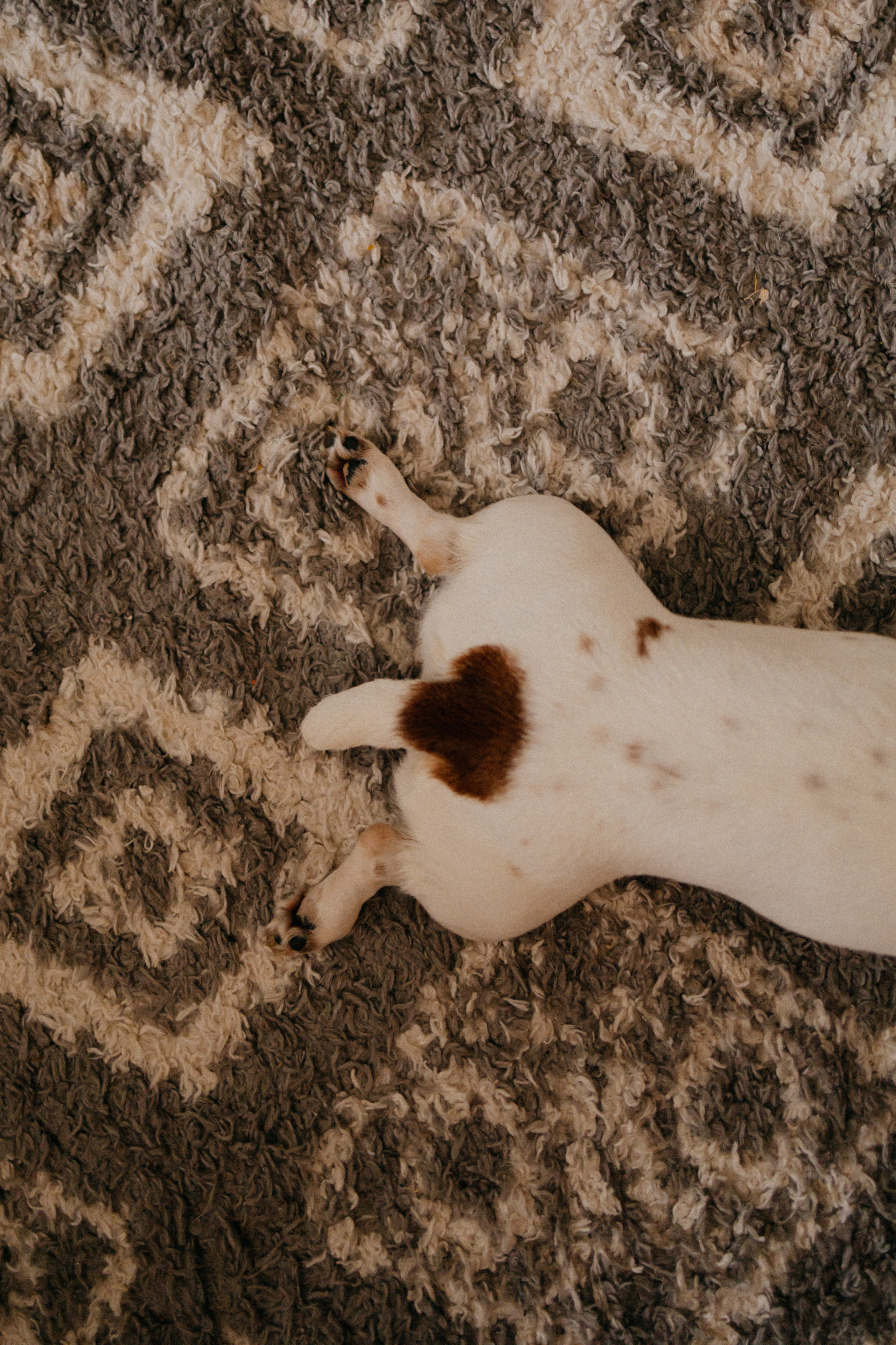 Дом. Уют. Тепло. Фотограф Настя Леонова