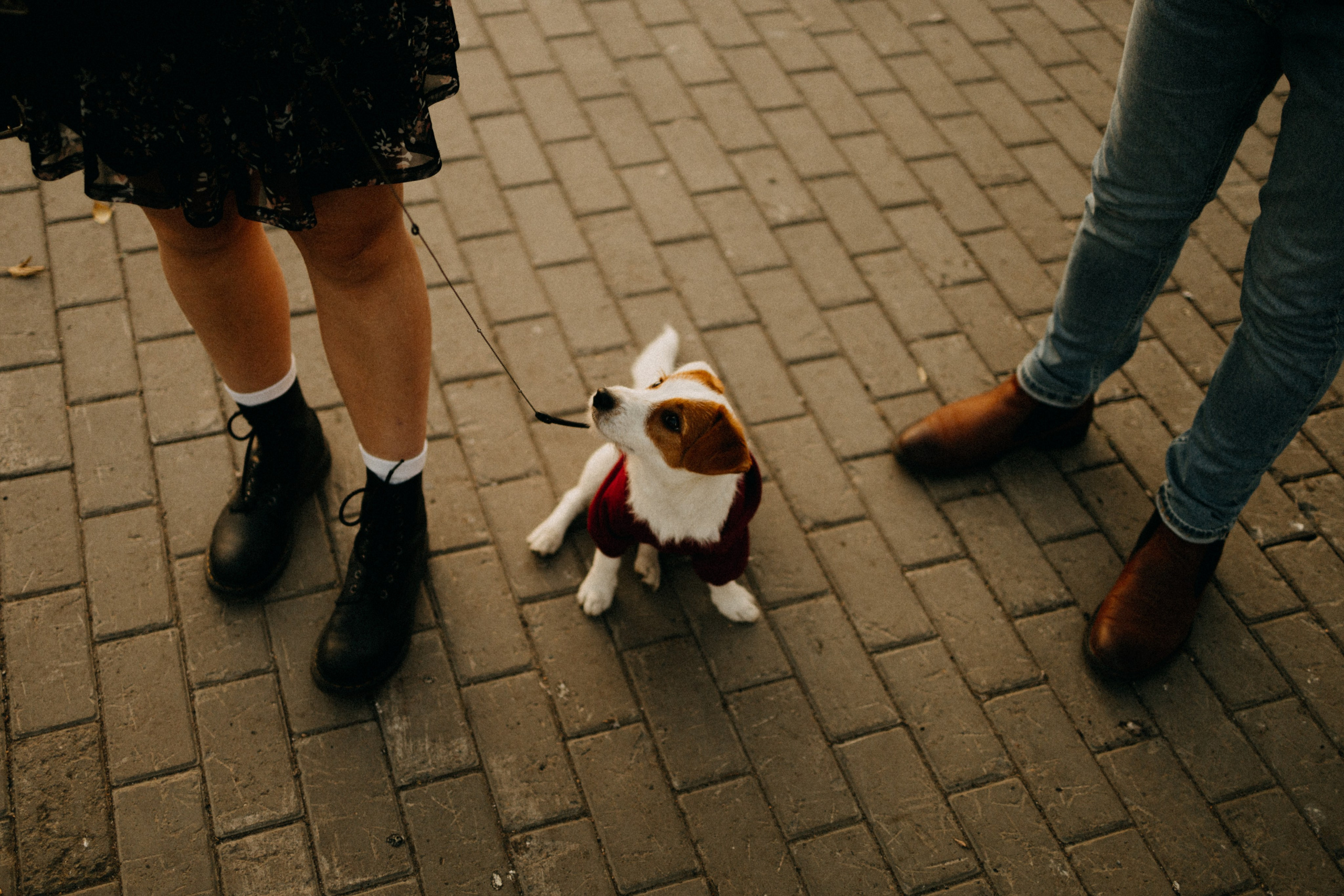 Прогулка втроём. Фотограф Настя Леонова