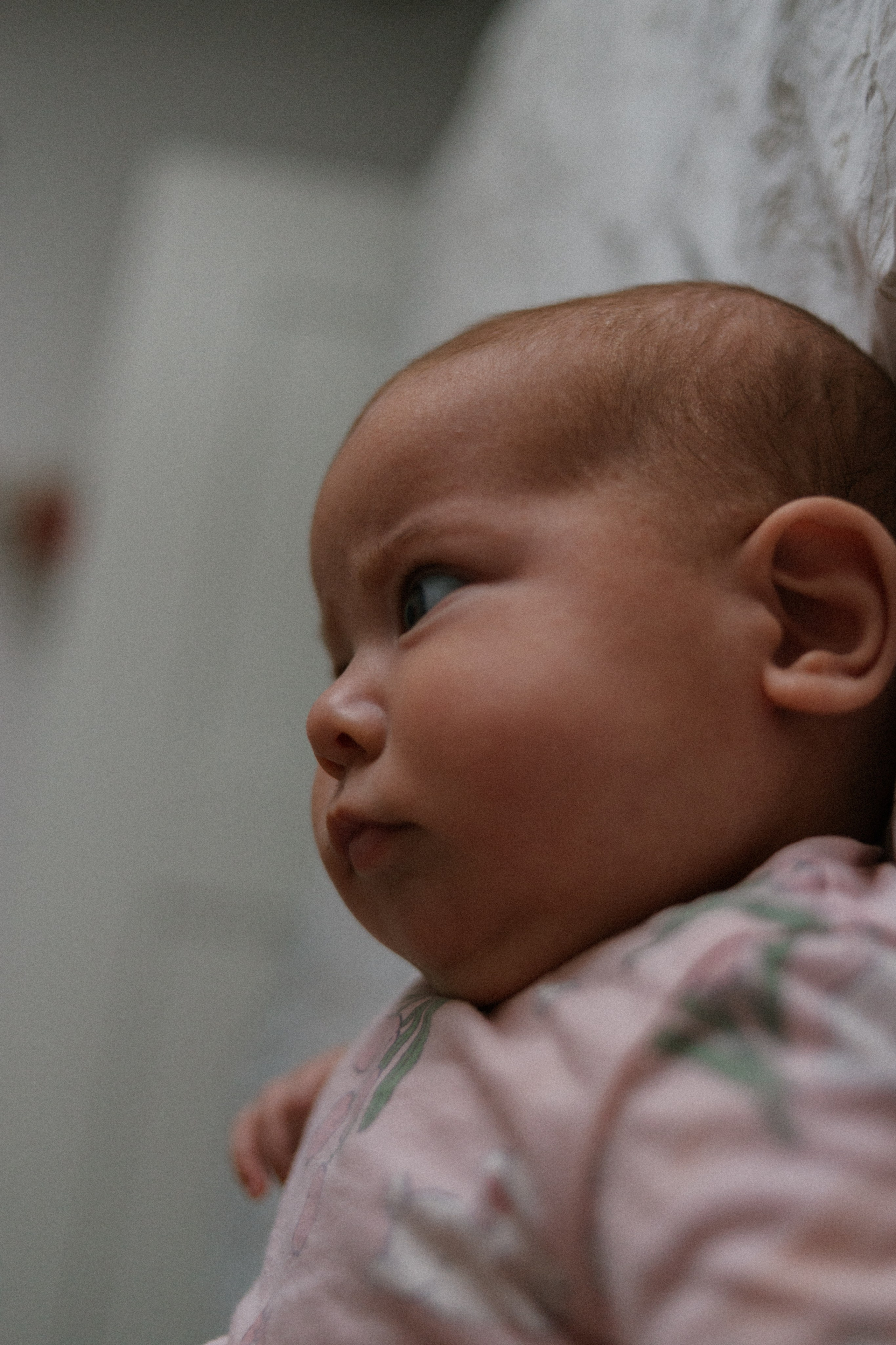 Семейные фотосессии. Семейный фотограф в Санкт-Петербурге Масари Виктория