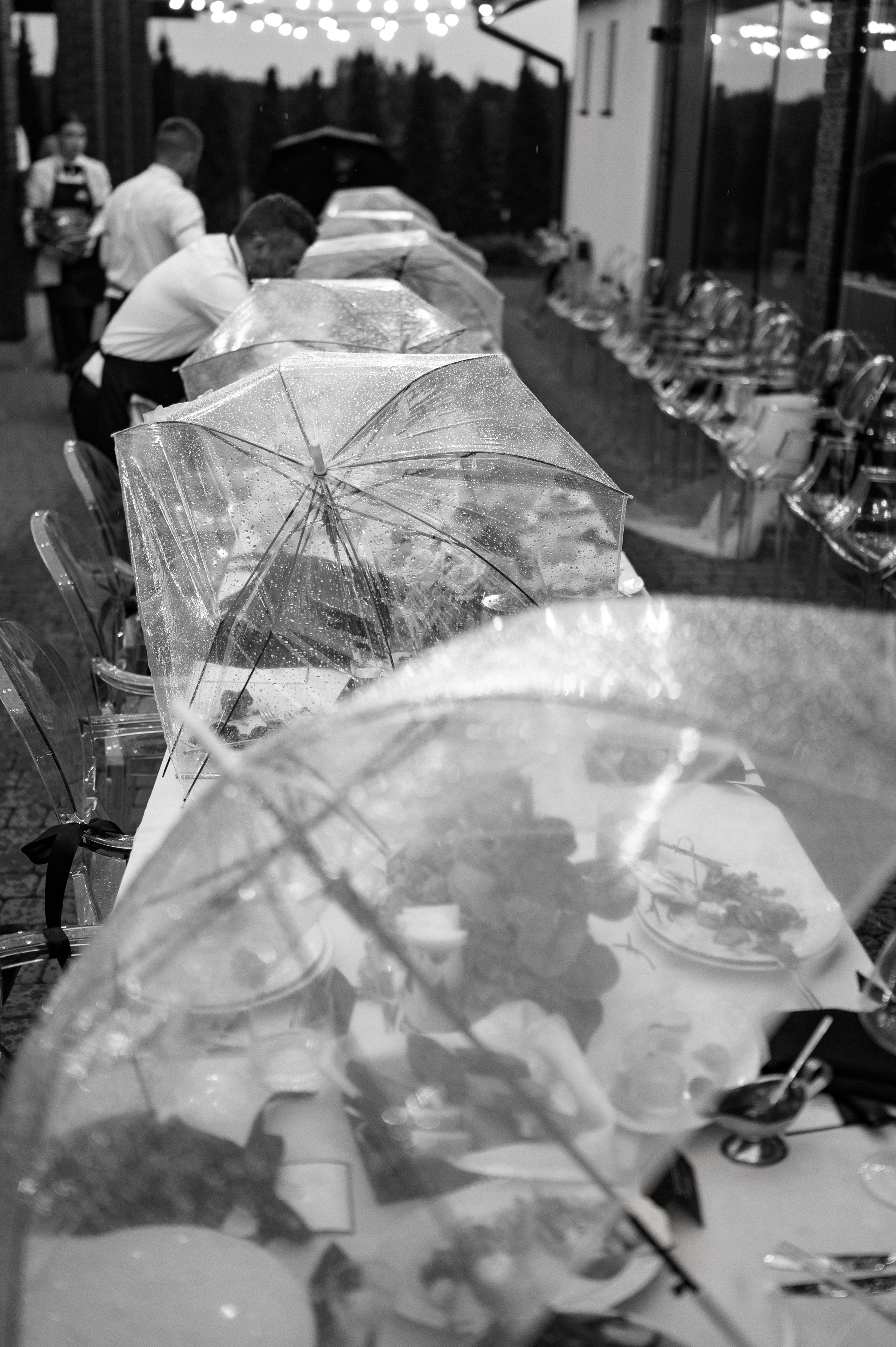 Эльшад и Настя. Свадебный фотограф Минск