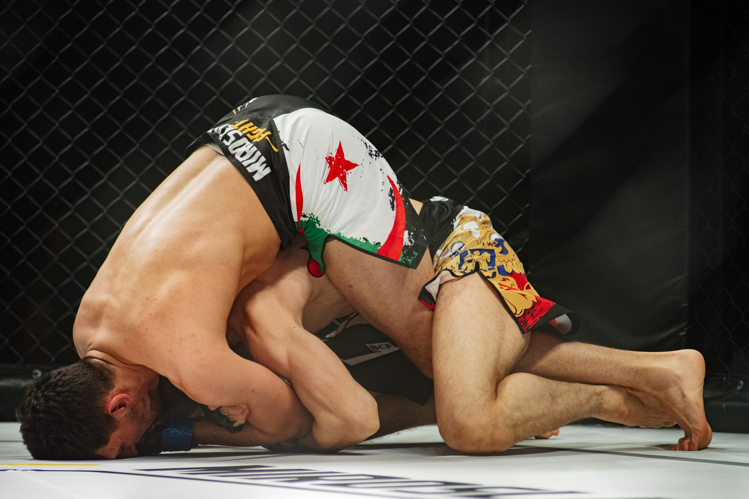 Miroslava Fight