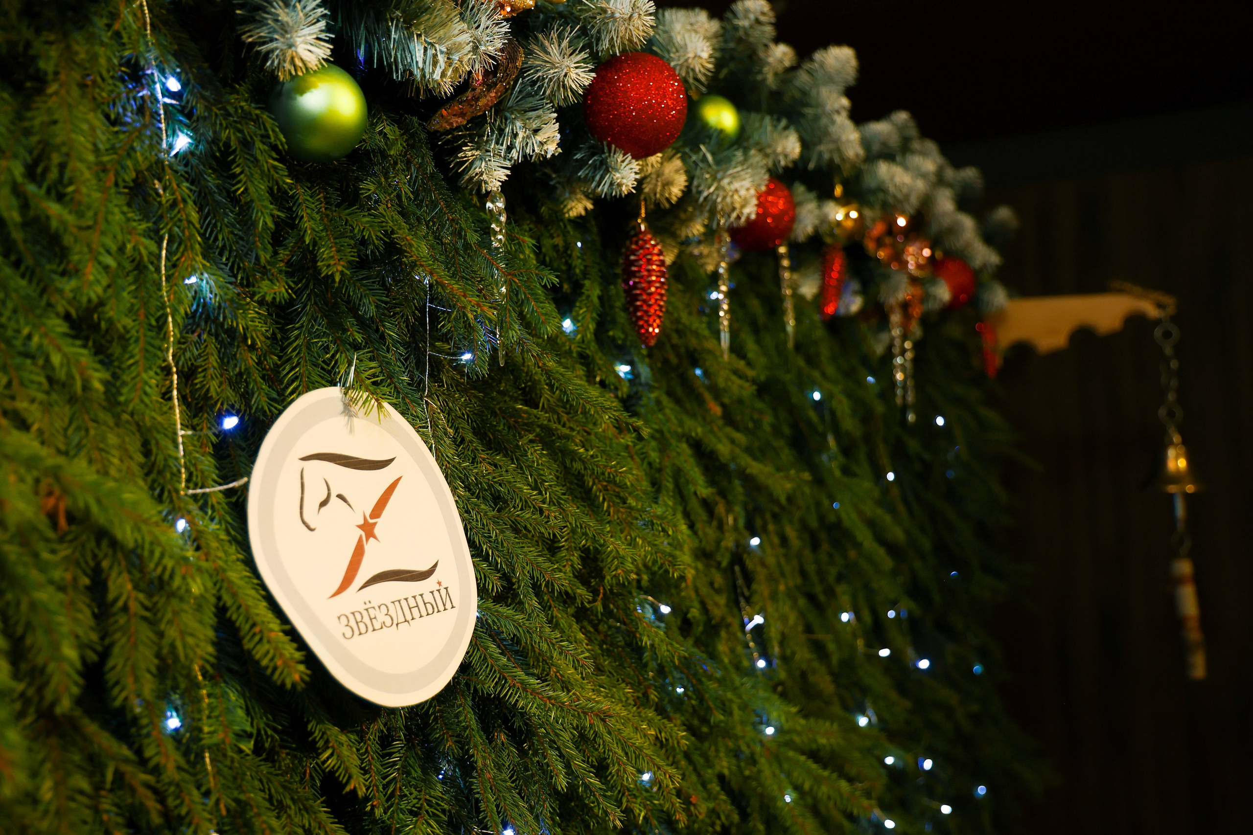 Новогодние праздники 2024-2025 «За поводом». Сведебный и Event фотограф в Москве Бажина Ирина