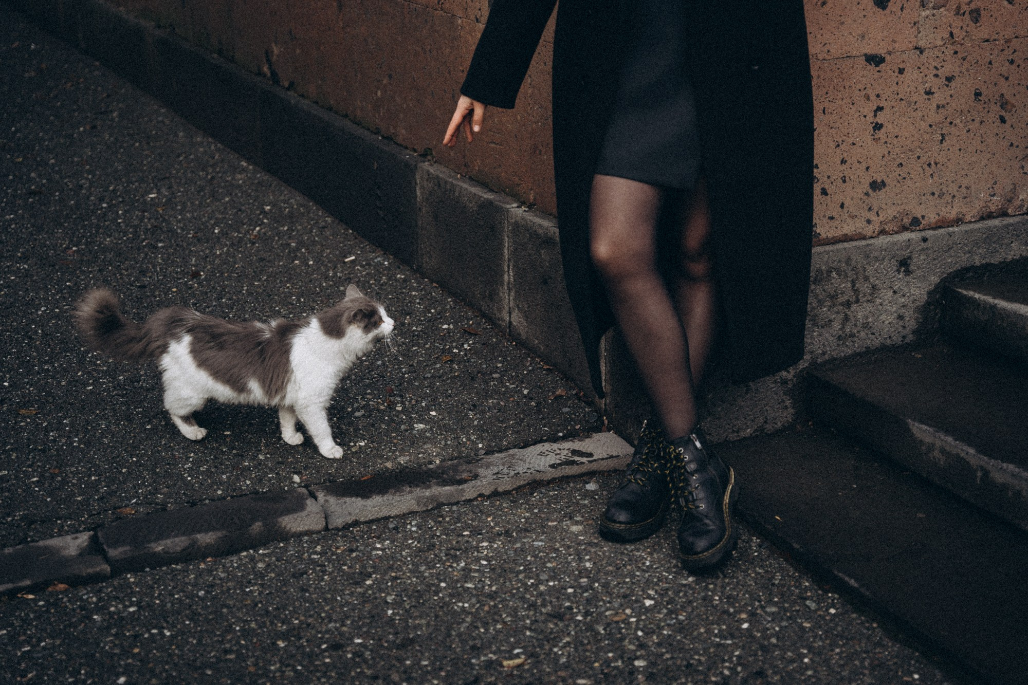 После дождя в Ереване. Даша Яковенко Фотограф Спб