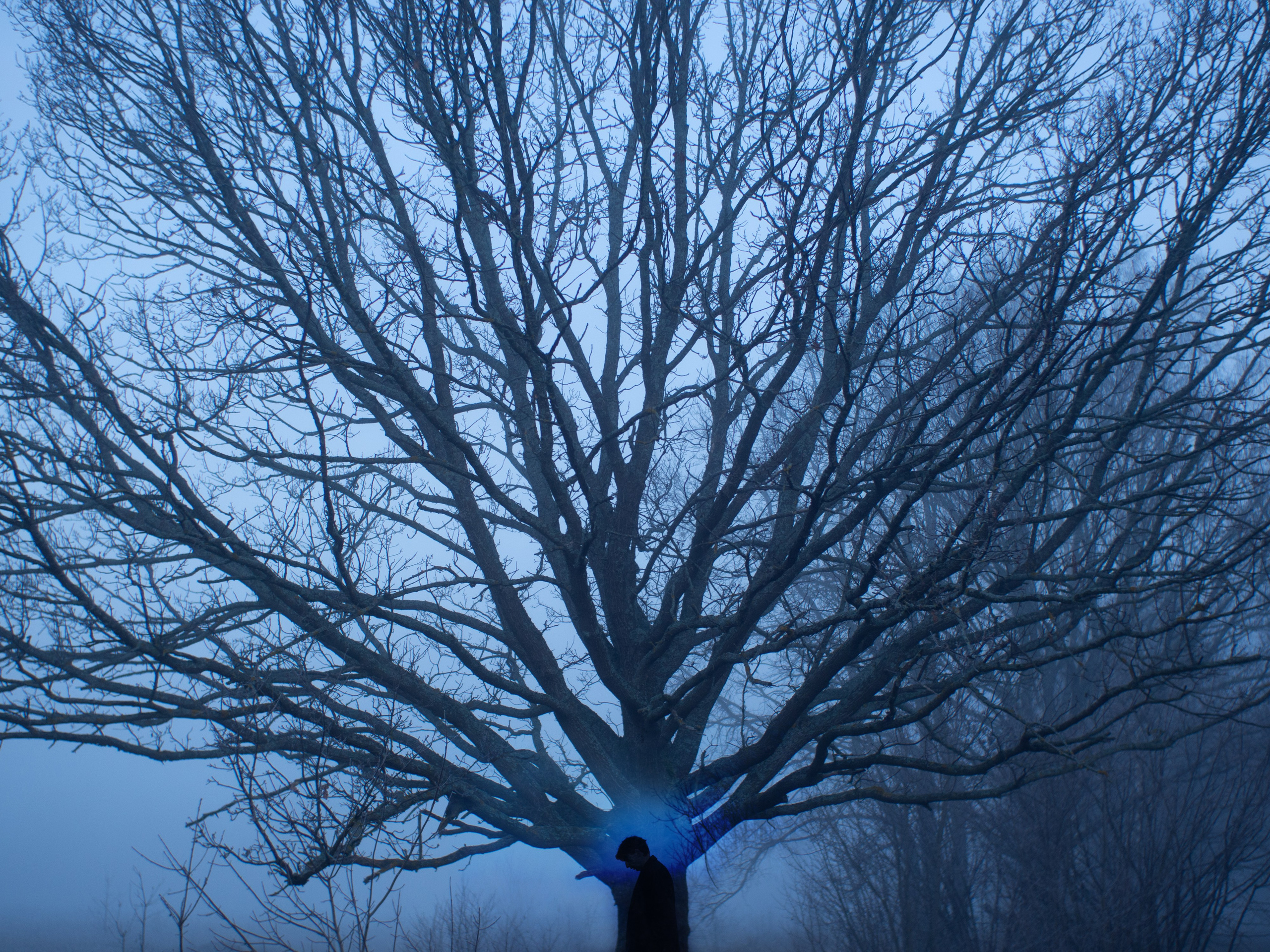 Nightwalker. Фотоистории