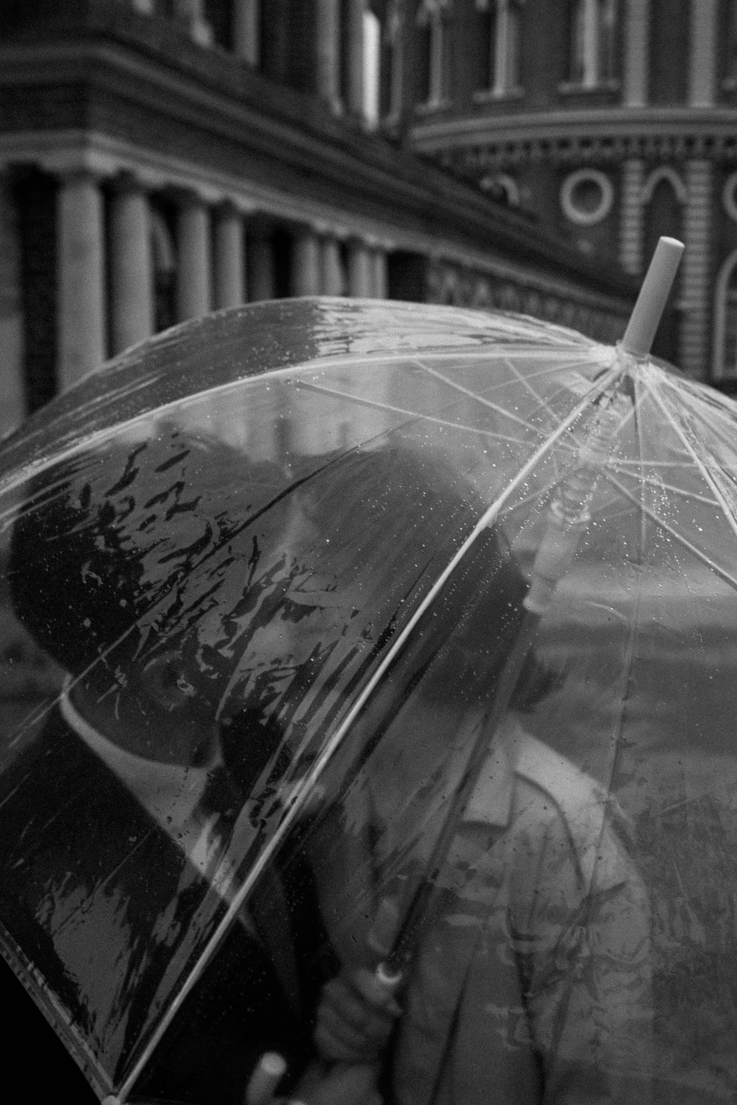 Анастасия и Алексей. Профессиональный фотограф