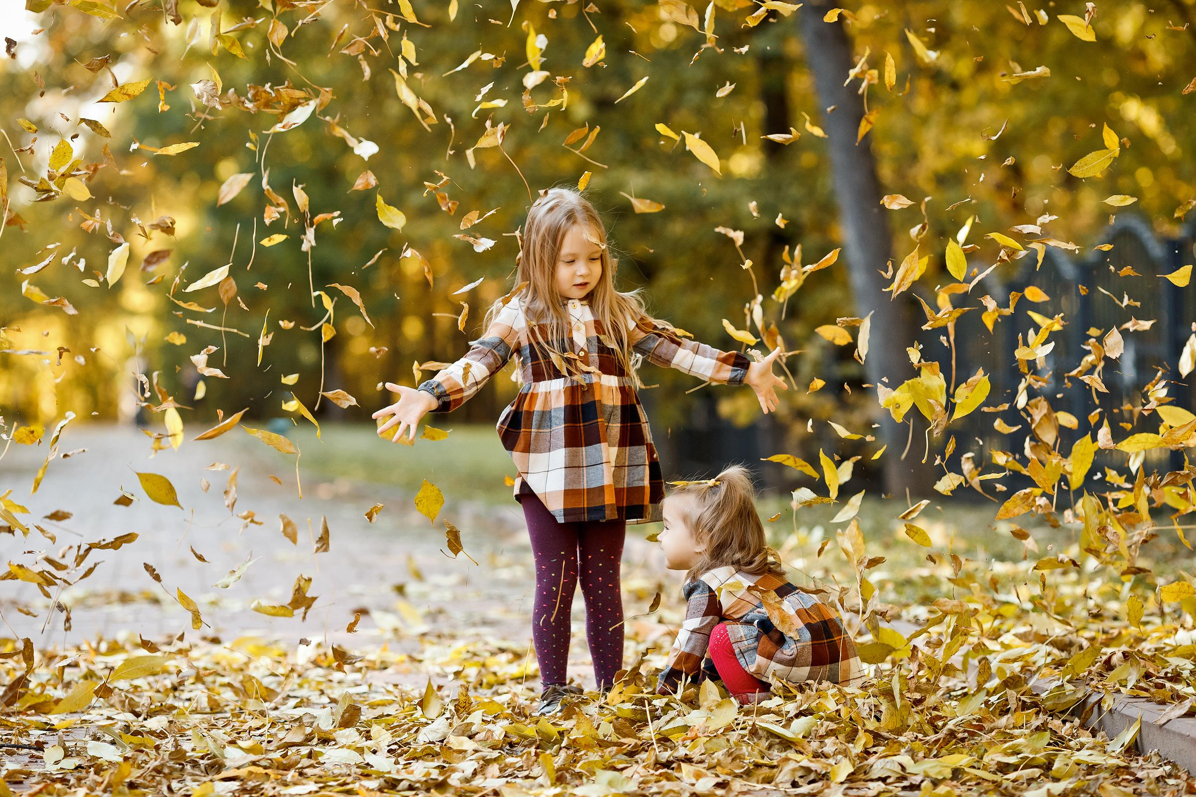 Осенняя семейная фотосессия. Свадебный и семейный фотограф Витебск, Минск, Андрей Павлов