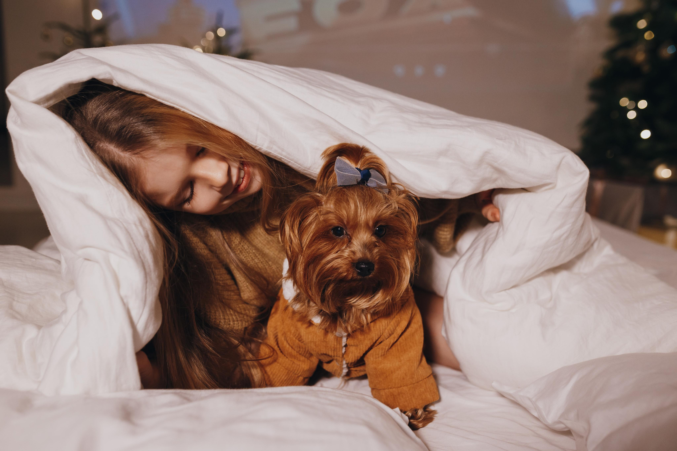 Новогодняя фотосессия. Свадебный и семейный фотограф Витебск, Минск, Андрей Павлов