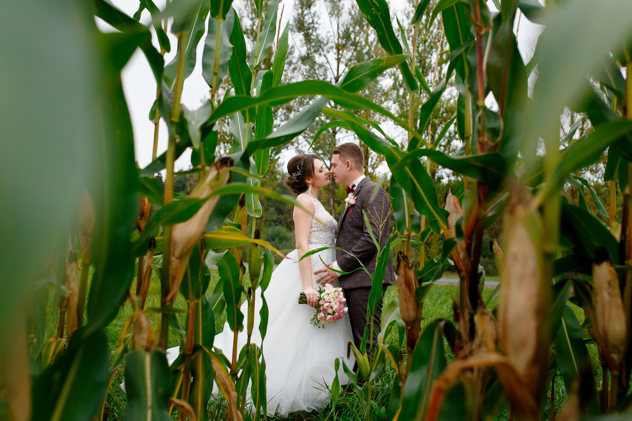 Свадебное. Свадебный и семейный фотограф Витебск, Минск, Андрей Павлов