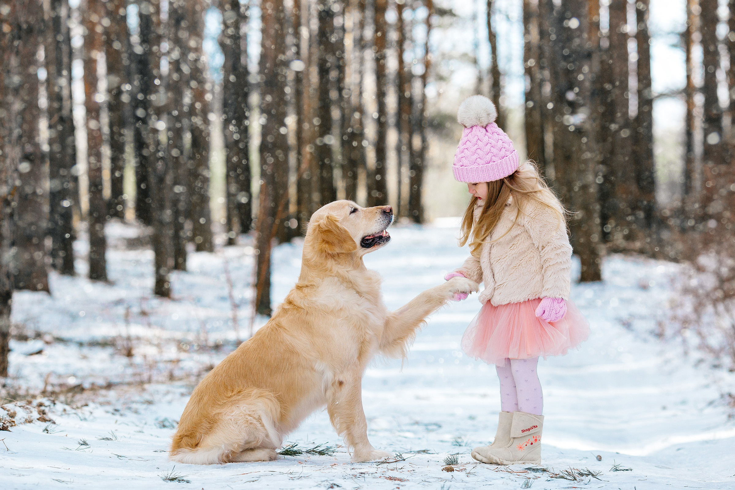 Семейное портфолио фотограф Андрей Павлов. Свадебный и семейный фотограф Витебск, Минск, Андрей Павлов