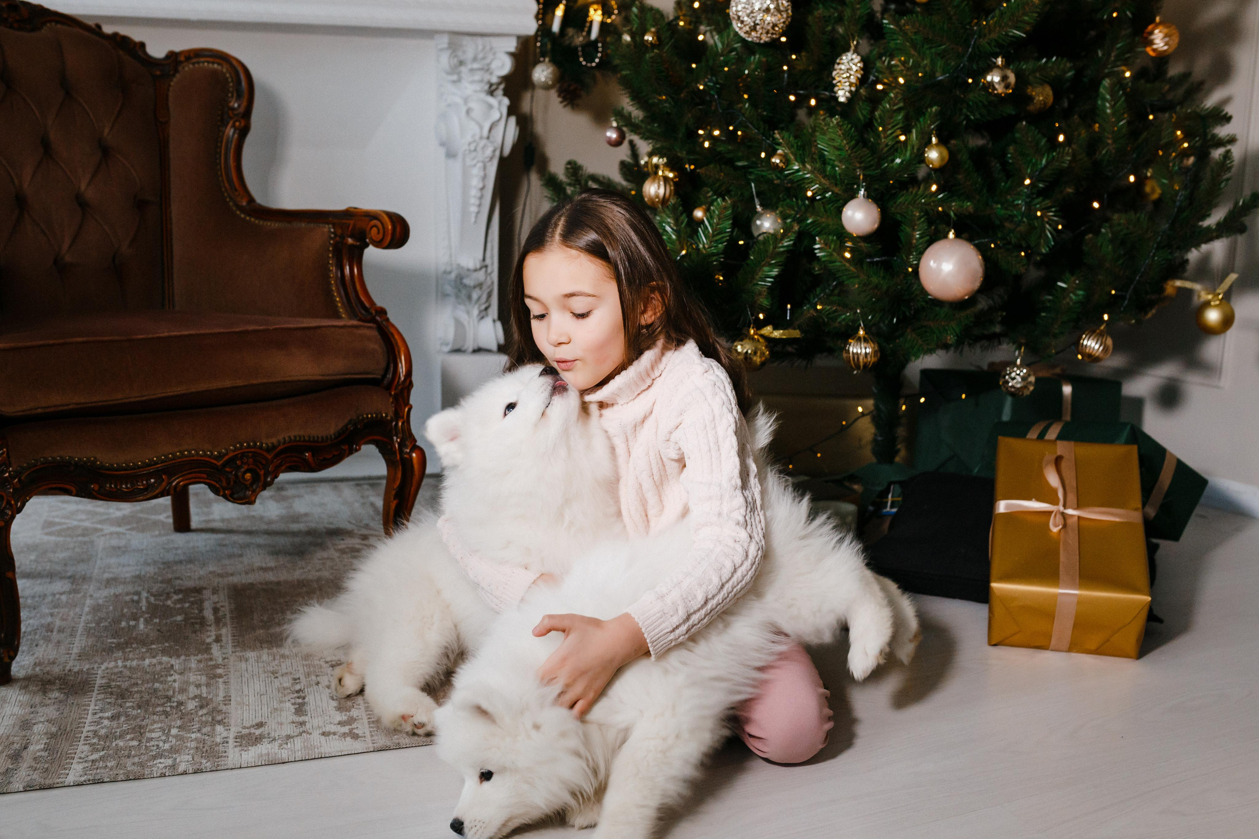 Фотосессия со щенками Витебск, Минск. Свадебный и семейный фотограф Витебск, Минск, Андрей Павлов