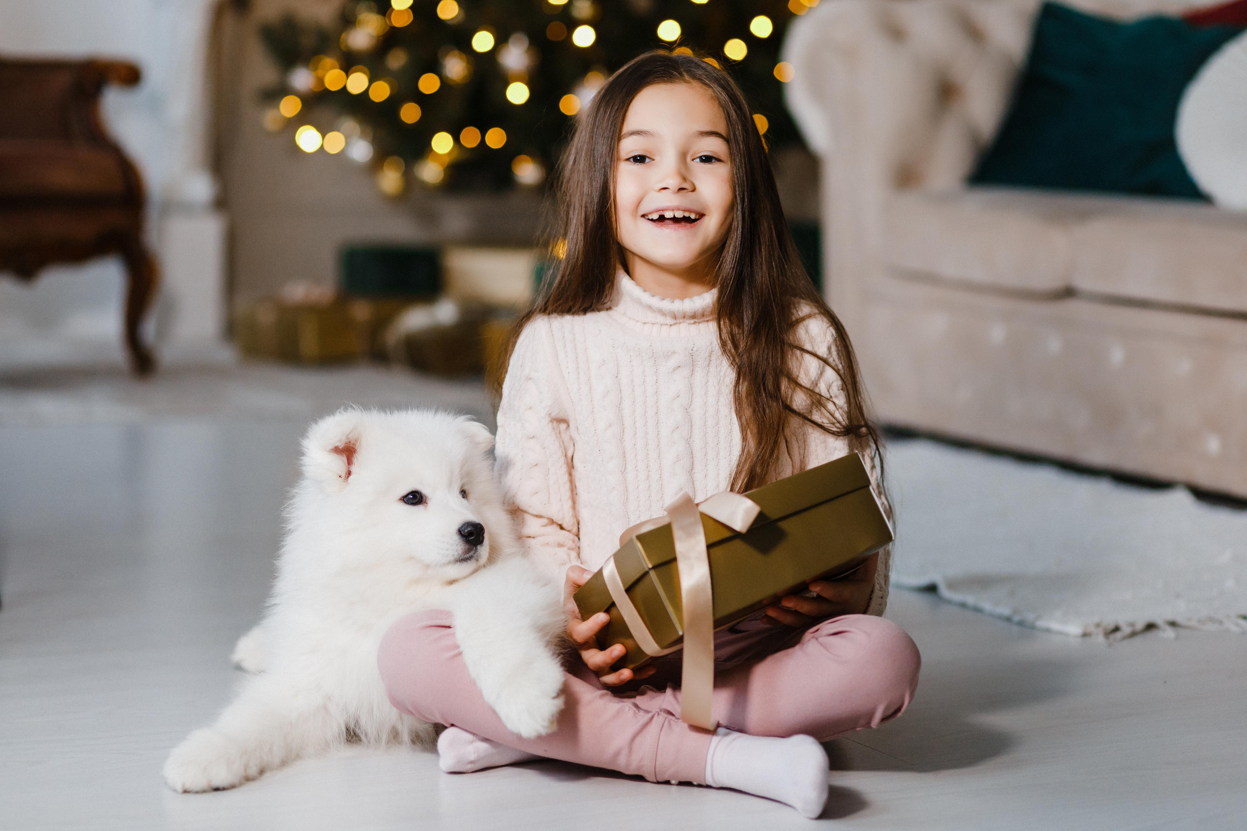 Новогодняя фотосессия Витебск, Фотограв Андрей Павлов