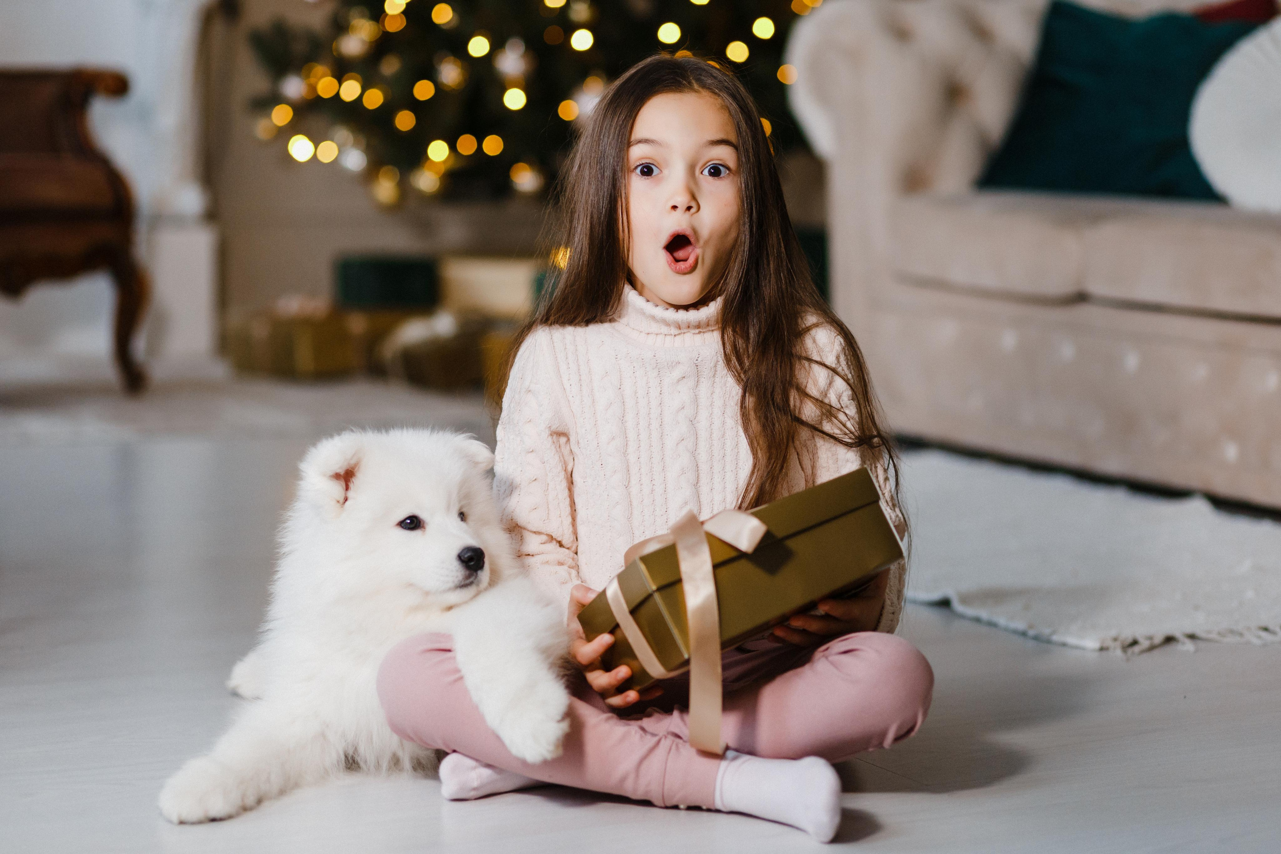 Новогодняя фотосессия Витебск, Фотограв Андрей Павлов