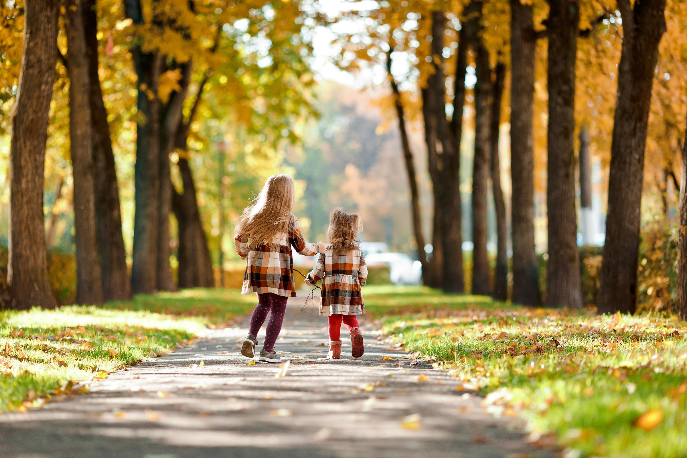 Осенняя семейная фотосессия. Свадебный и семейный фотограф Витебск, Минск, Андрей Павлов