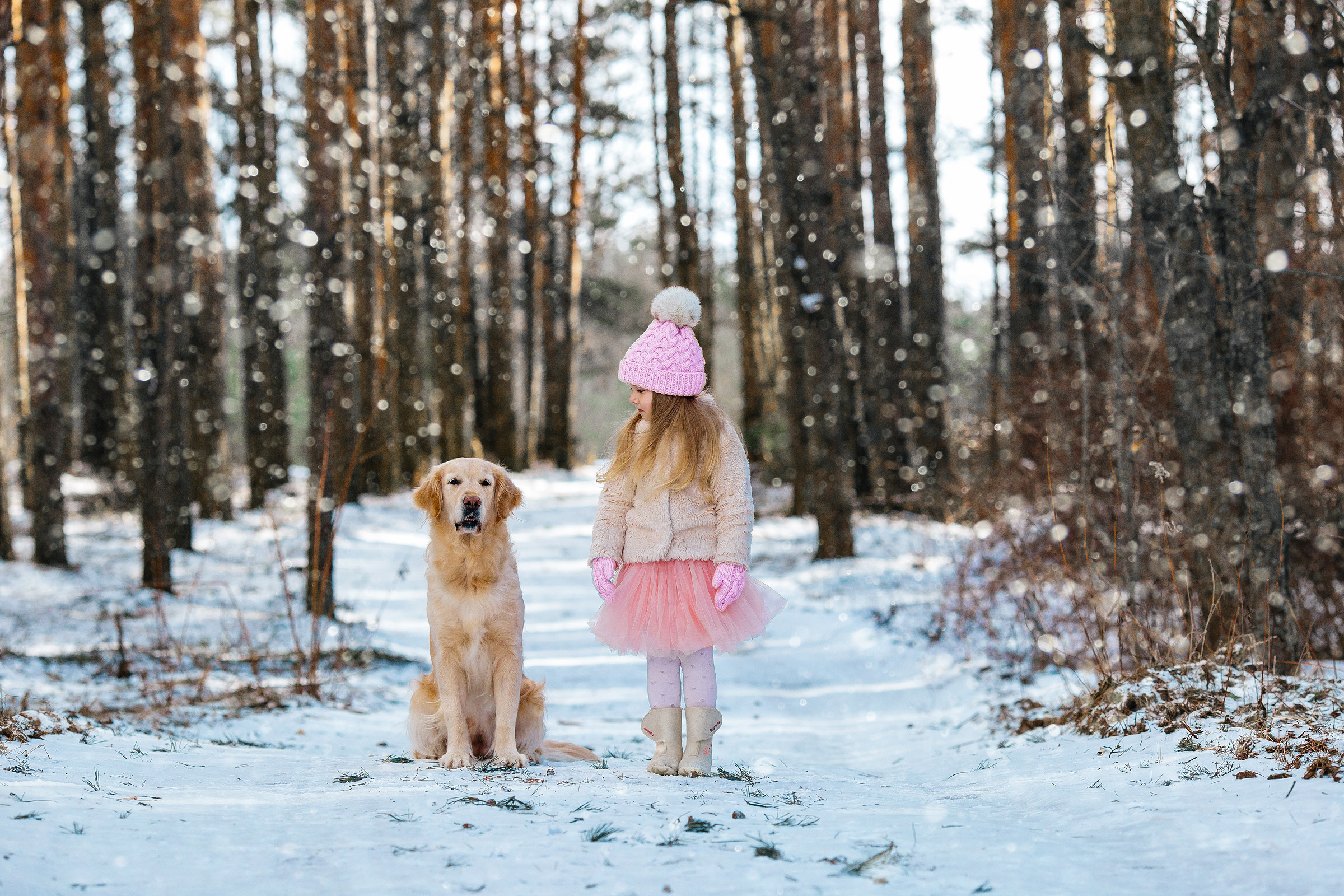 Семейное портфолио фотограф Андрей Павлов. Свадебный и семейный фотограф Витебск, Минск, Андрей Павлов