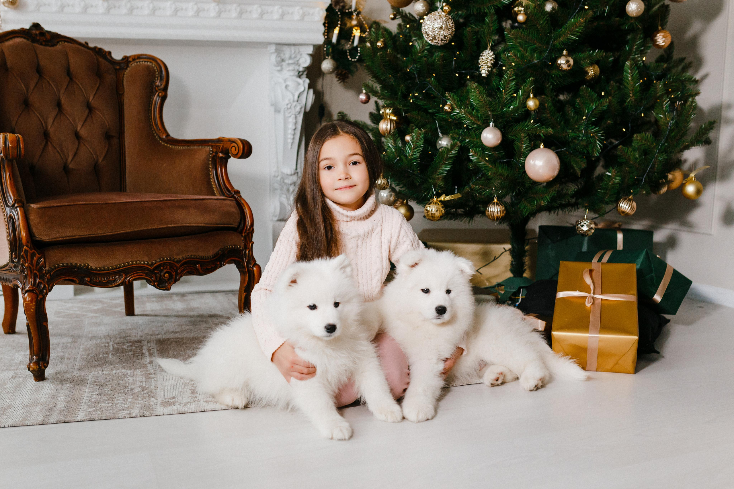 Щенки Самоед Витебск фотосессия, Детская фотосессия