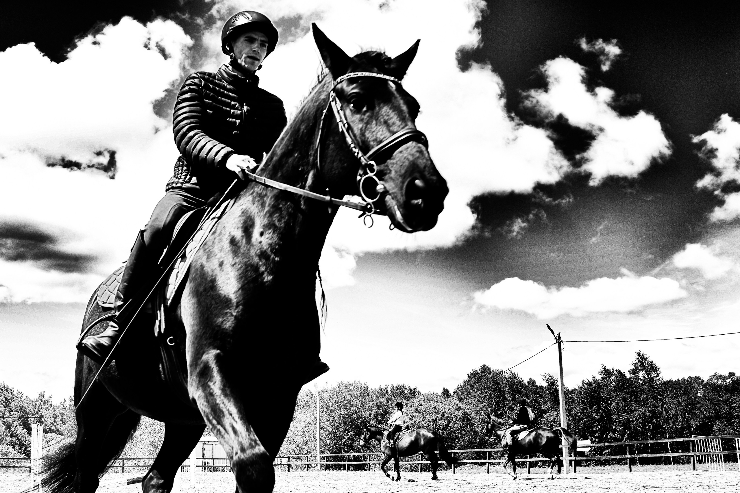 Лошади «Каскад» и «Брилиант». Алиса Томшина — Фотограф / Видеограф