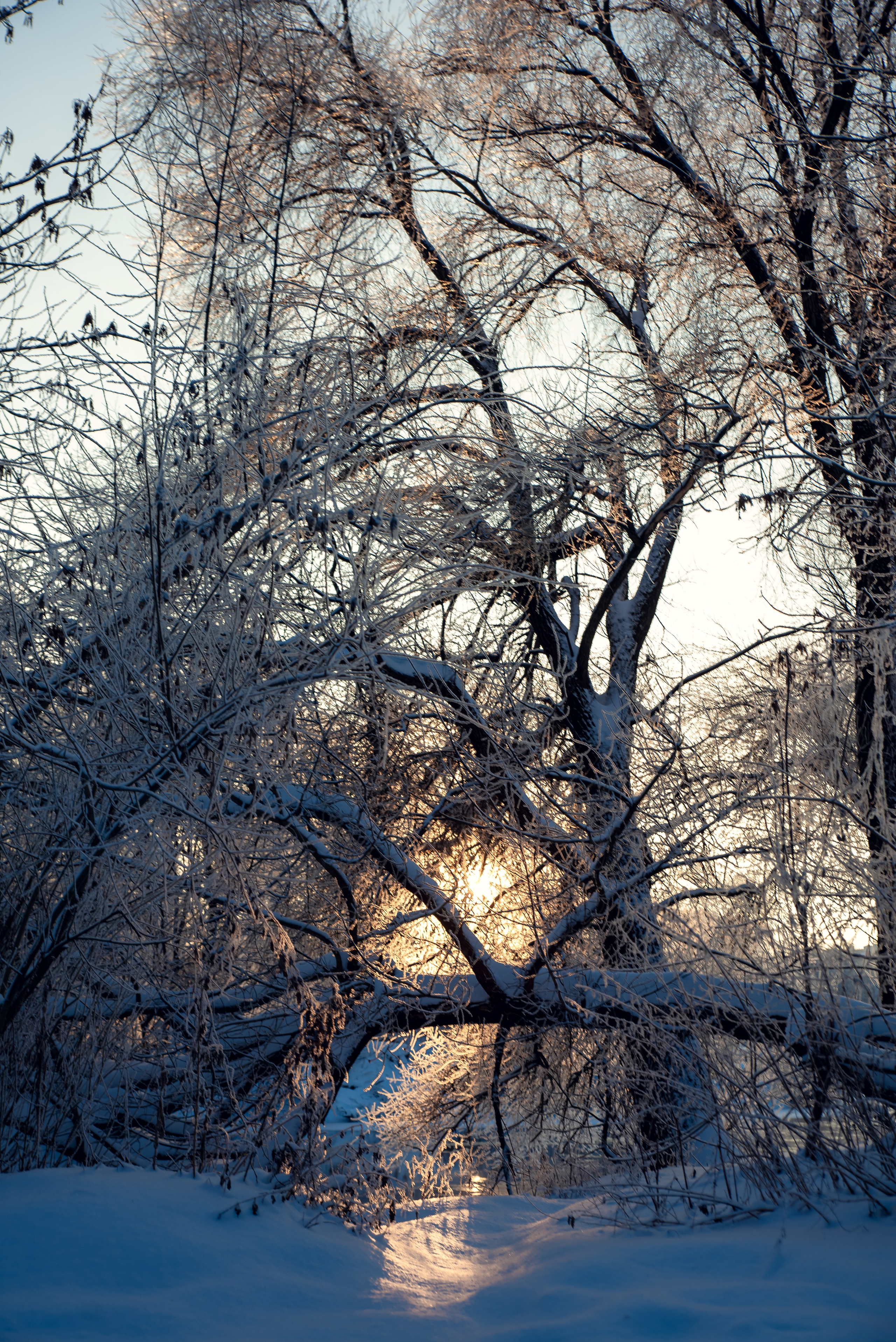 Зимушка зима. Фотограф Крещение Венчание Москва