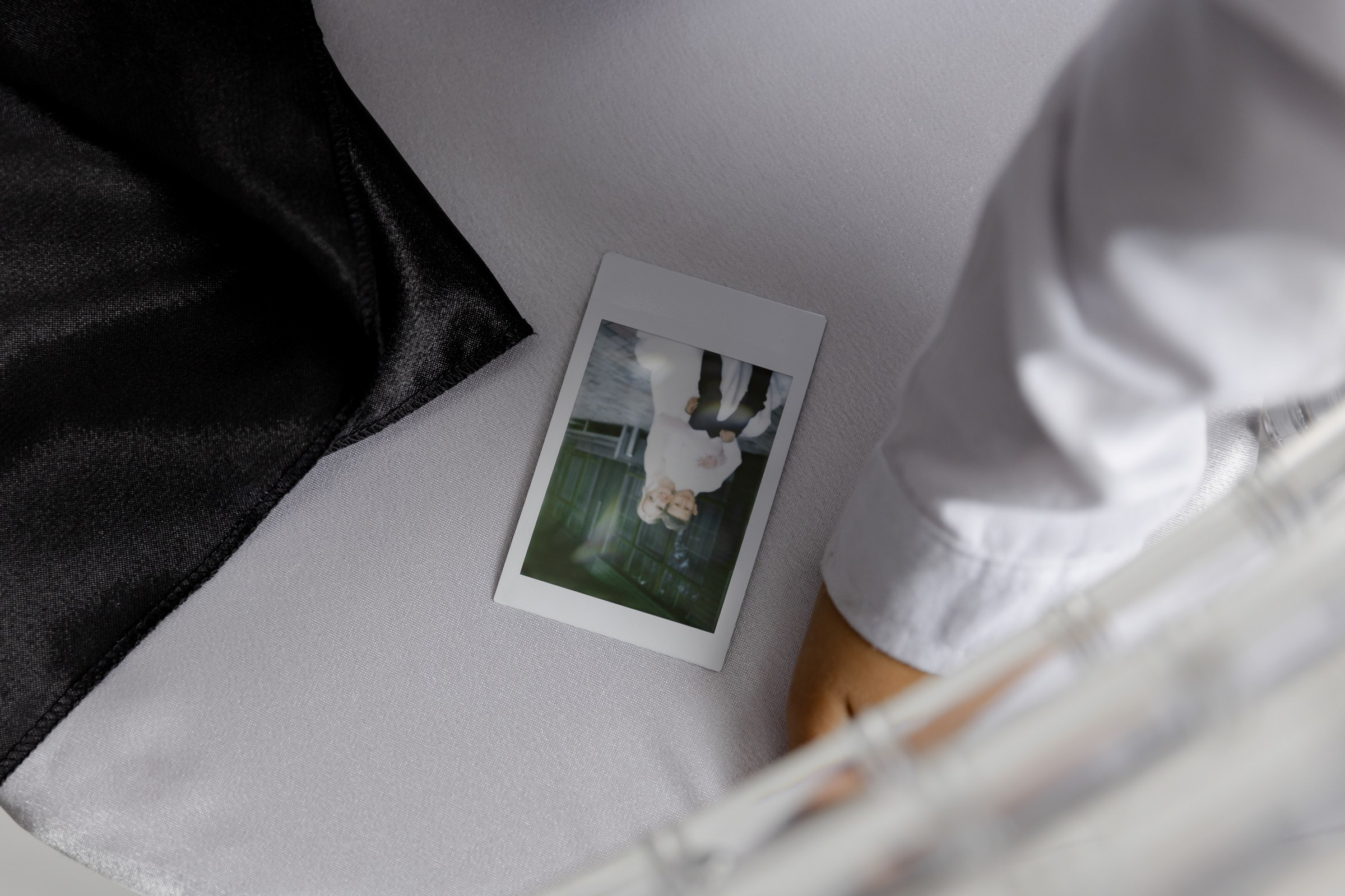 Свадьба пес и котики. Dima Lemeshevsky