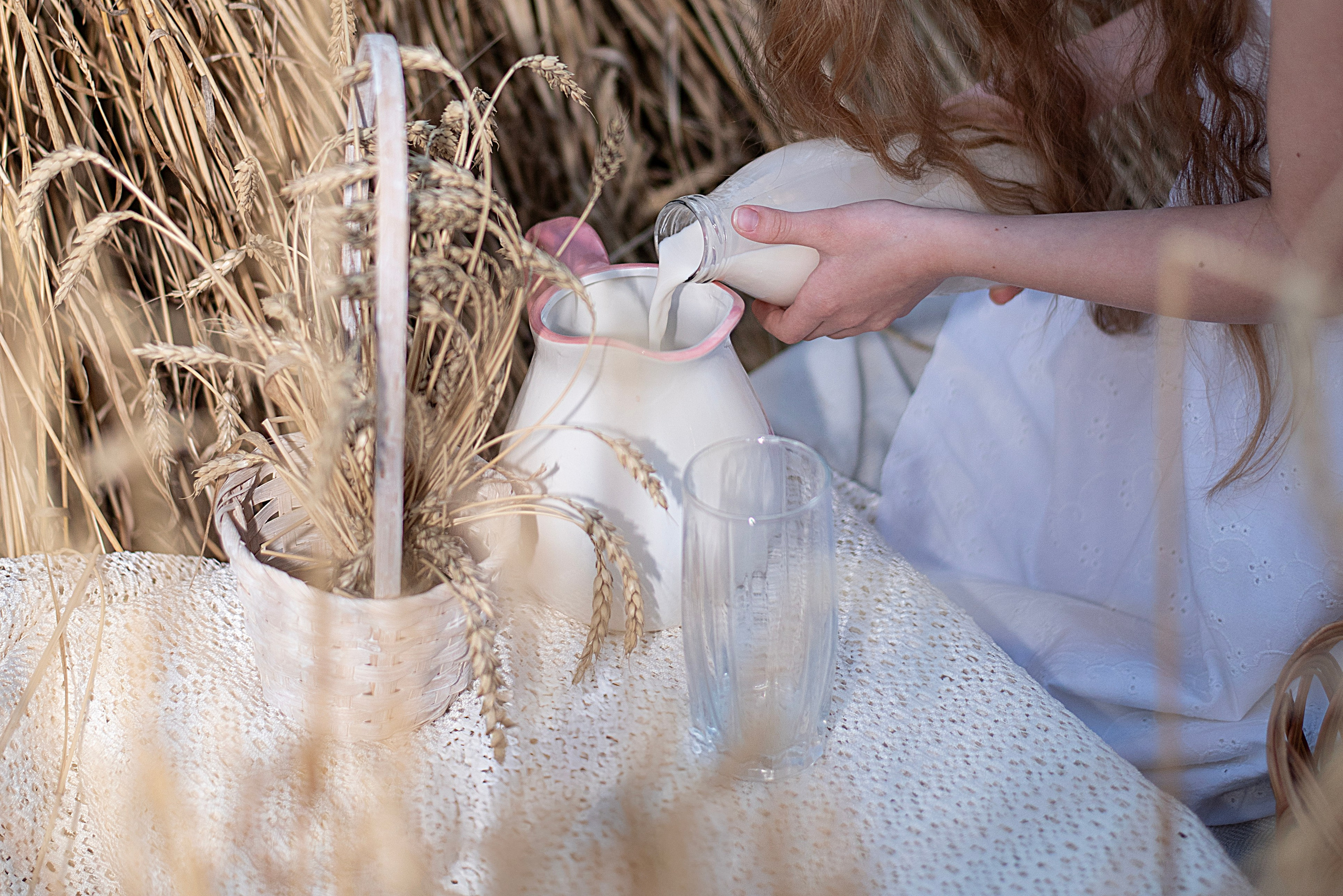 Пшеница. Главная