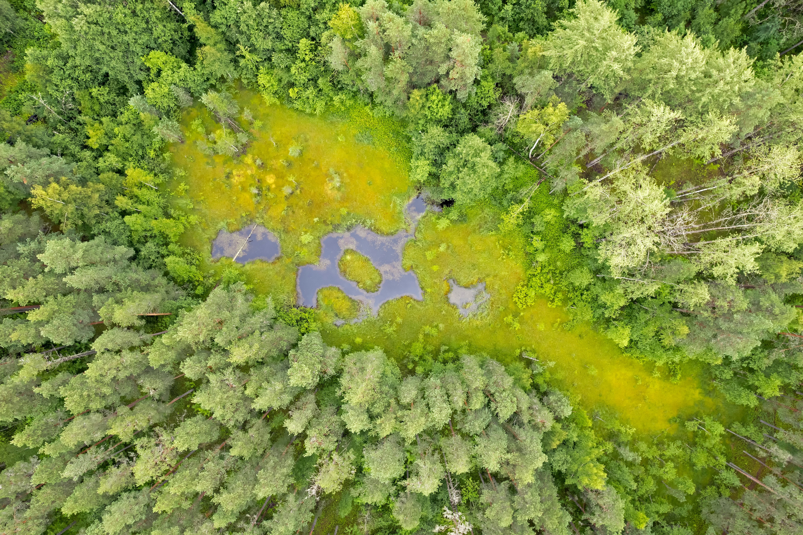 Аэрофотография, фото нашей прекрасной Земли с воздуха. От прошлого к будущему авиации через фотографию