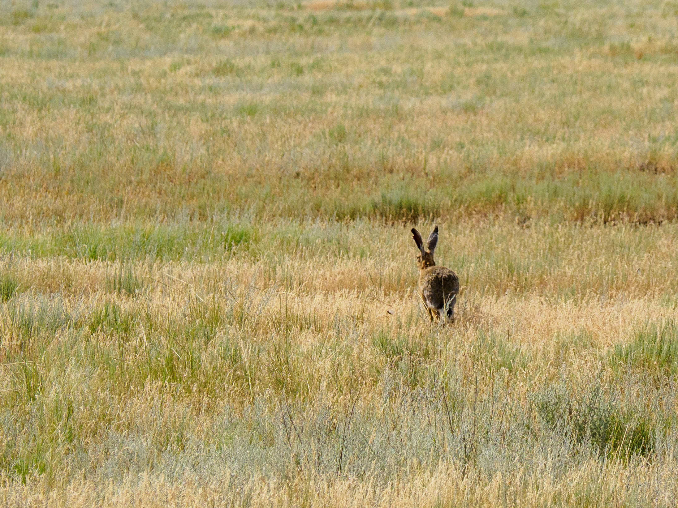 Эльтон 2024. Творческие сьемки