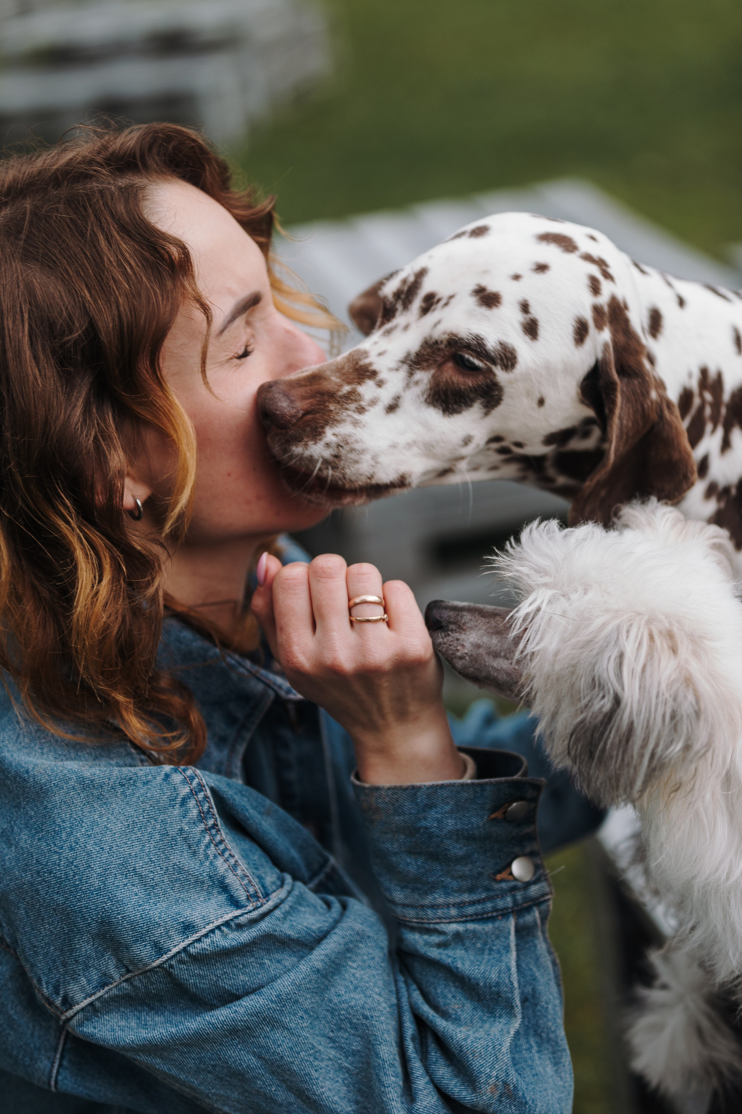 Лили, Уся, Вика и их семья. Фотограф анималист Кристина Карпова, Москва