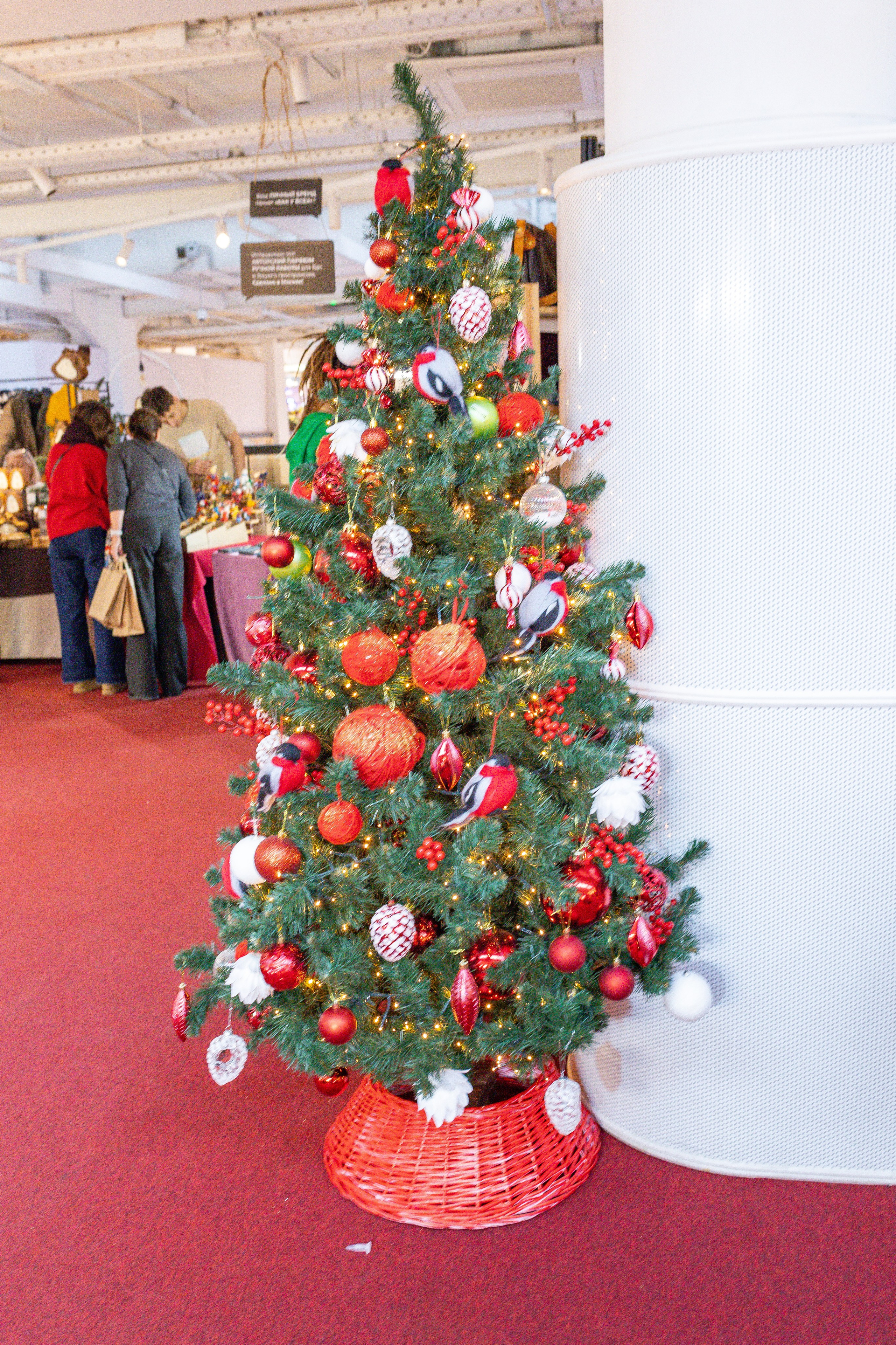 Growbox декабрь 2025. Александра Куликова фотограф, Москва