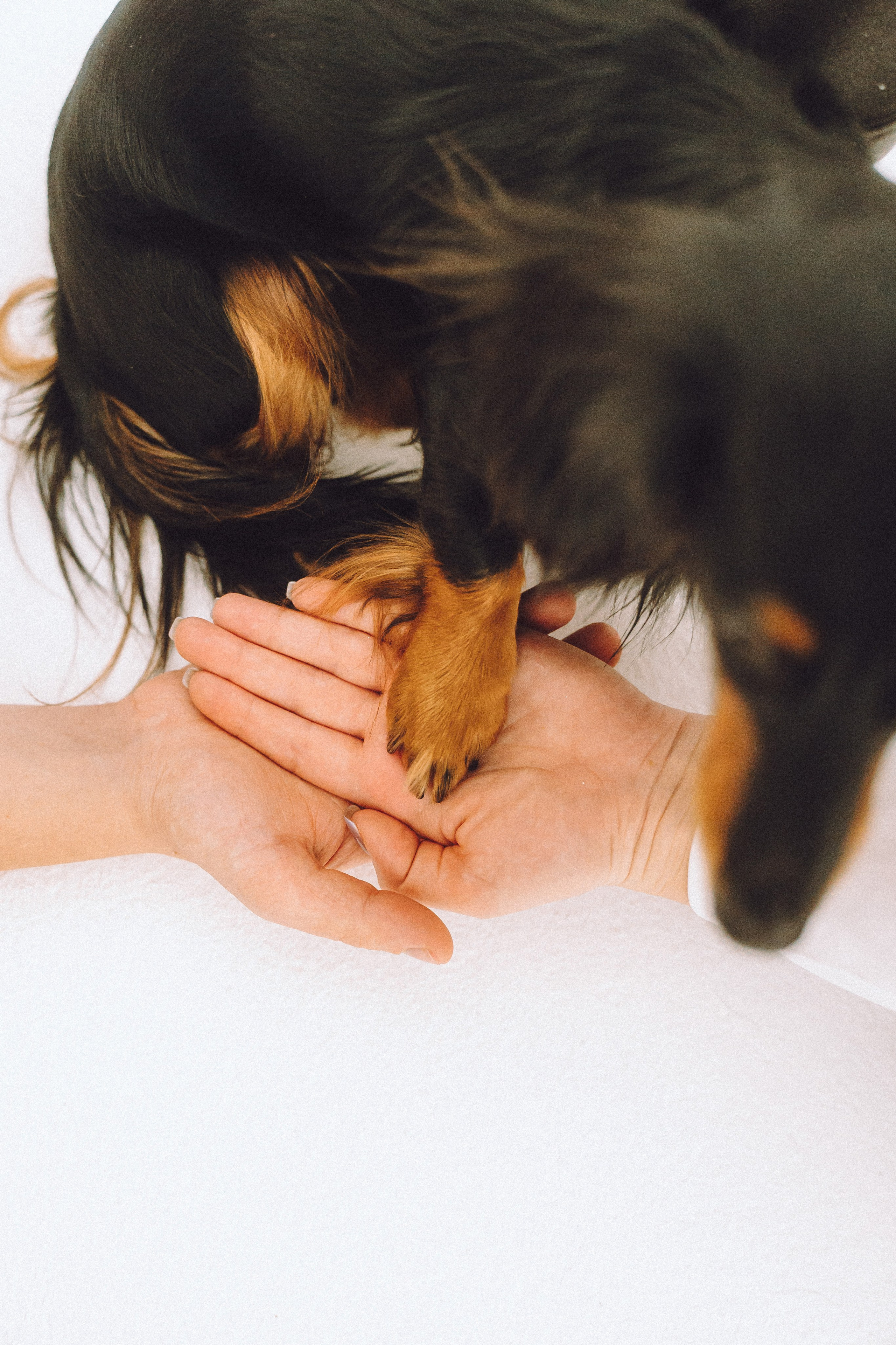 Натали, Свят и Эни