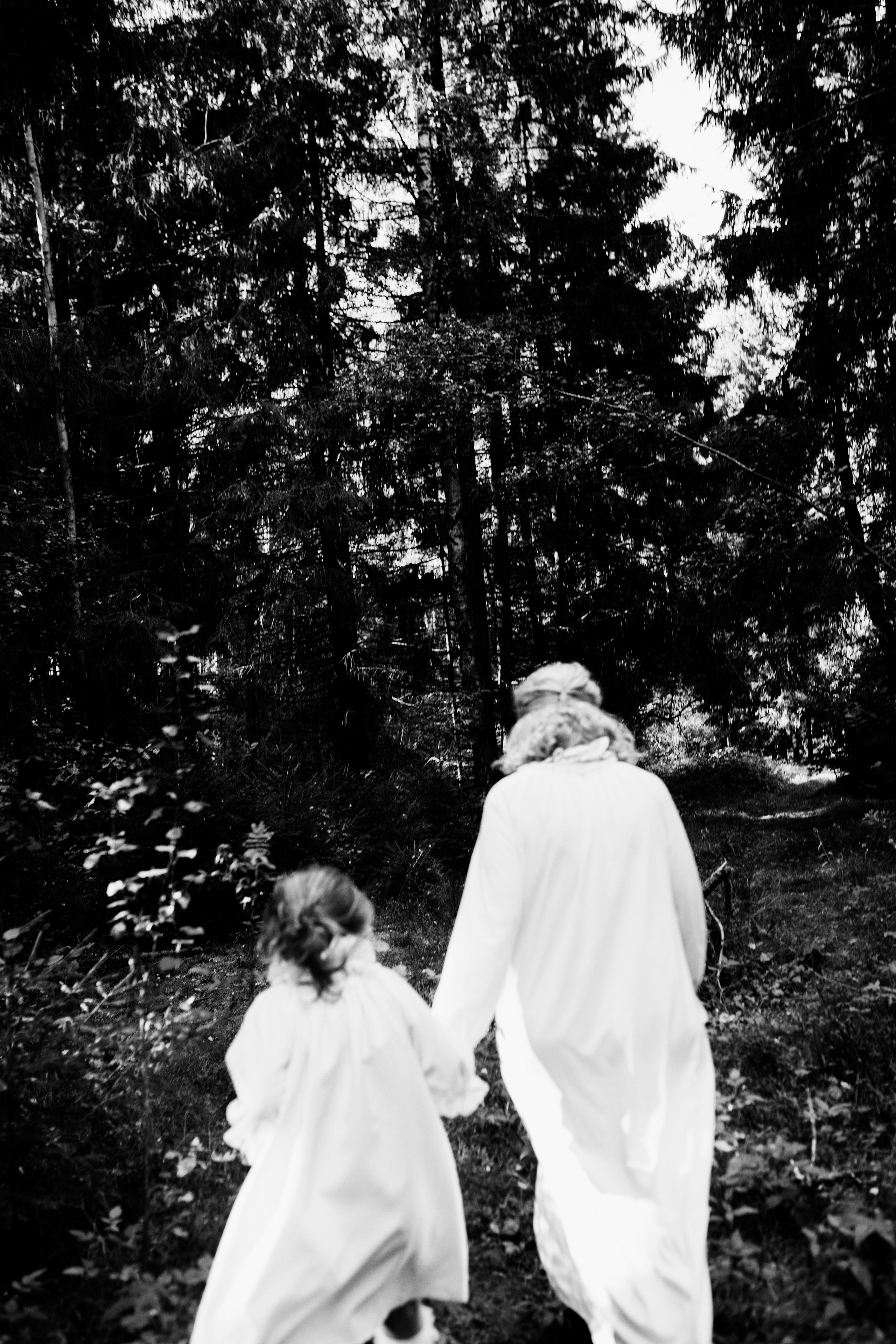 Грибы. Ольга Пилант. АРТ, бэкстейдж, свадебная и семейная фотография, городской портрет, интерьерная фотография