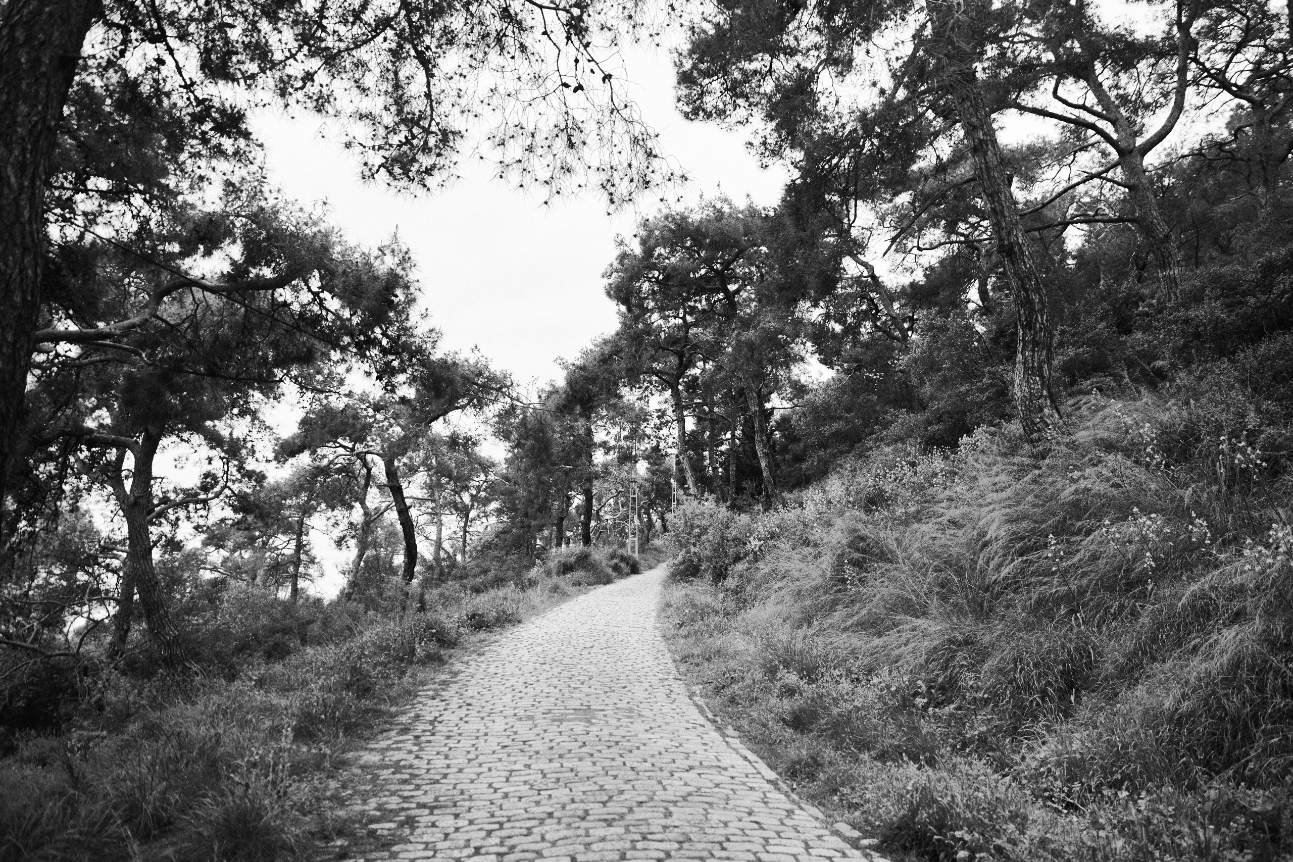 Улица горизонтальная. Jorgis — фотограф в Хургаде / обучение фотографии