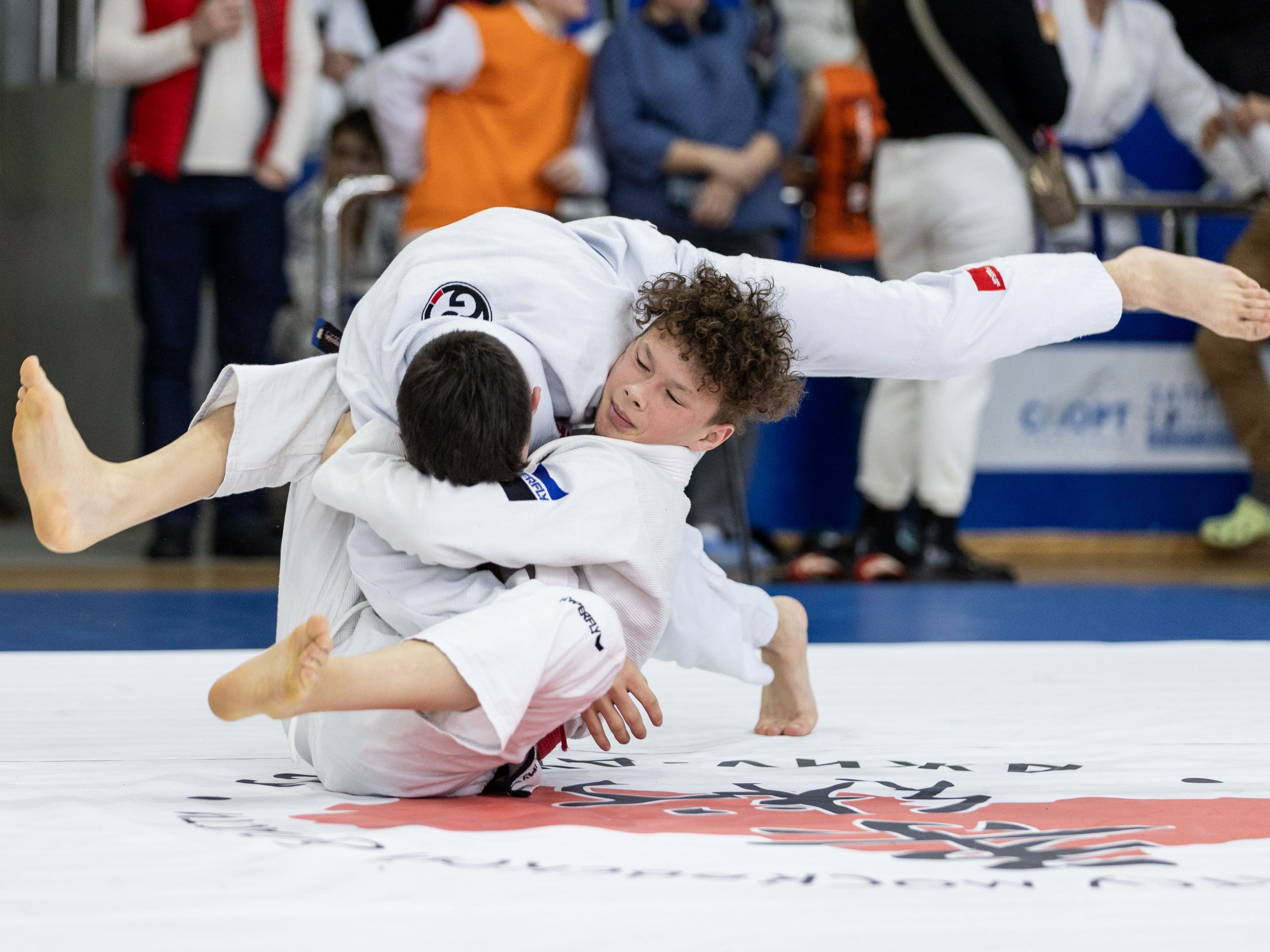 Единоборства. Спортивный фотограф Фёдоров Александр