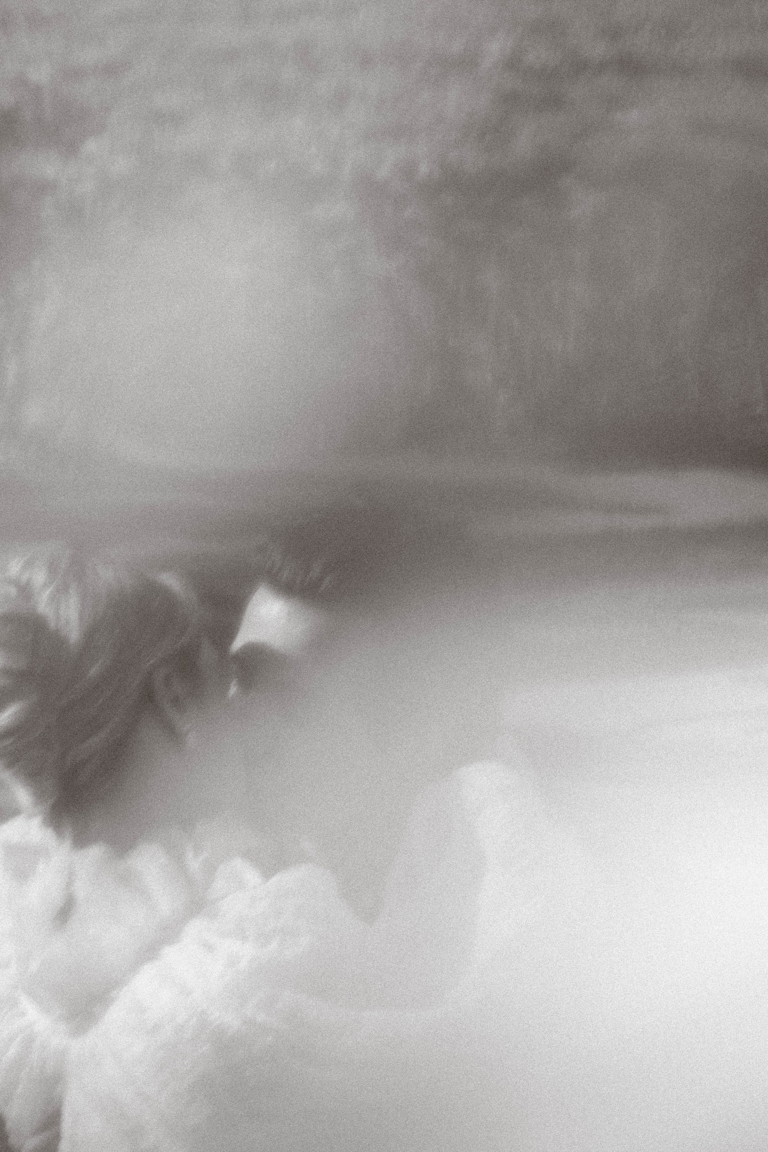 СВАДЕБНАЯ СЬЕМКА В ПАРКЕ ОРАНИЕНБАУМ. Профессиональный фотограф, Санкт-Петербург — Виктория Богомолова