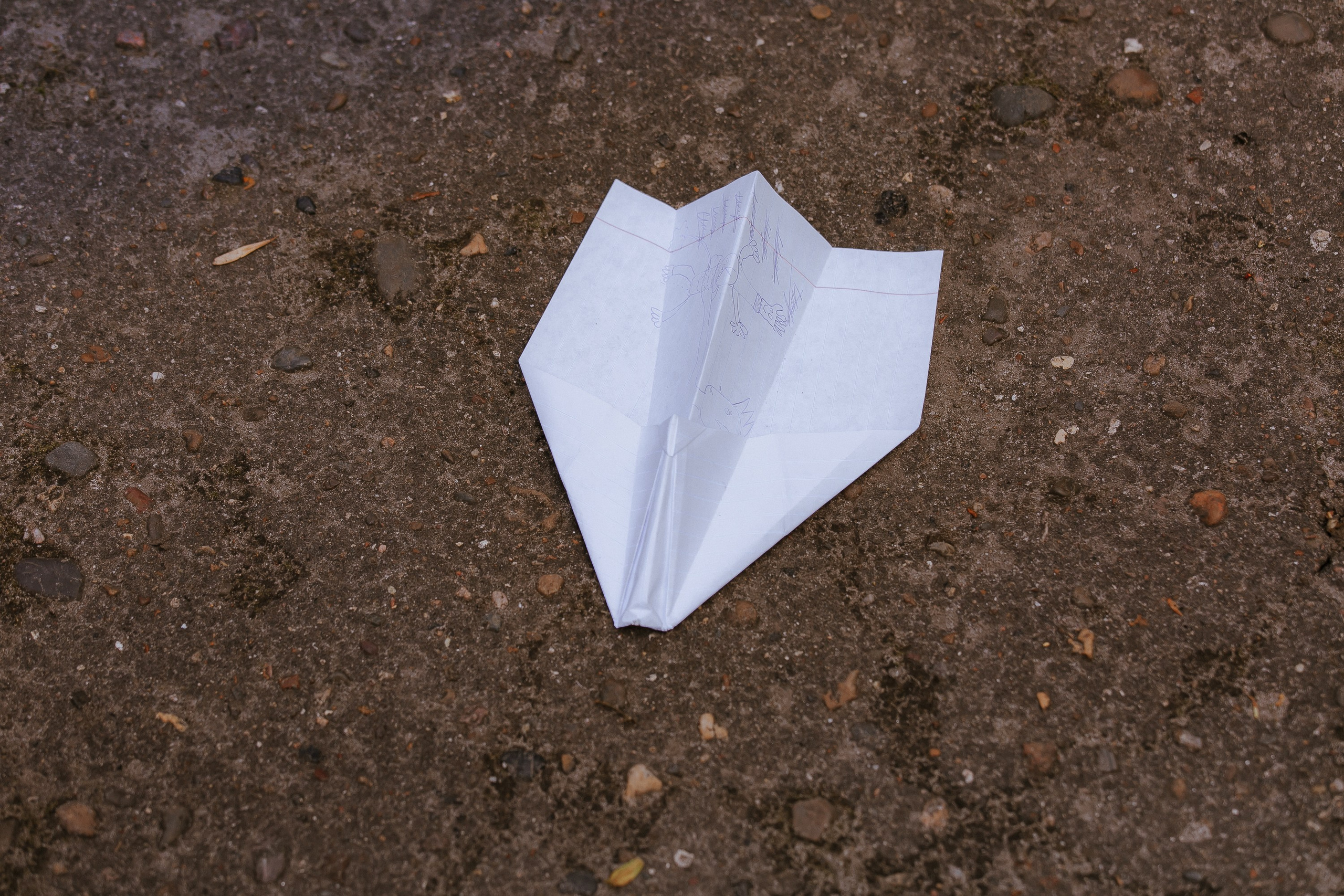 Портфолио фотографа на последний звонок. Свадебный и репортажный фотограф в Ярославле и Санкт-Петербурге Роман Микрюков