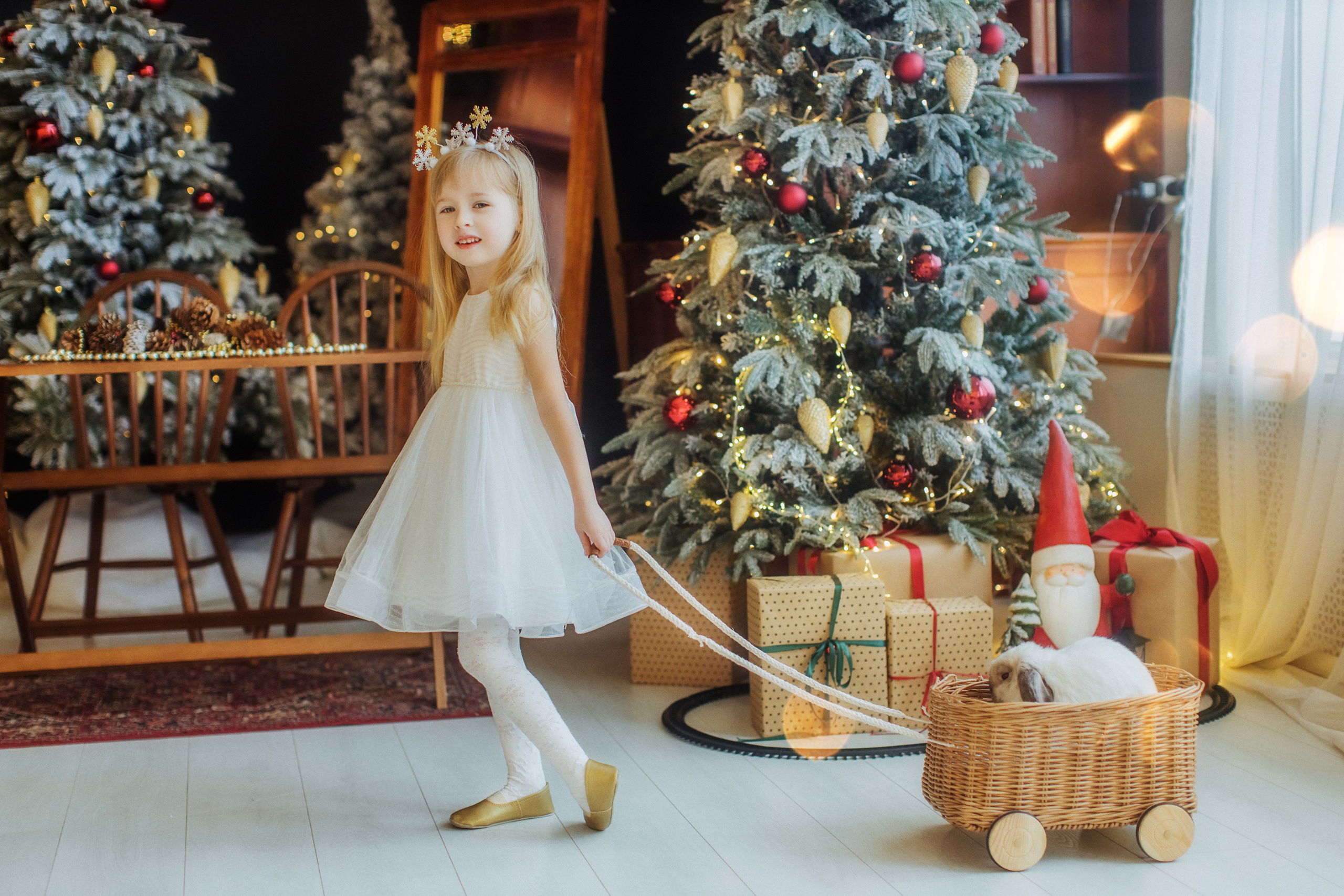 Новогодние. Фотографы в городе Волгограде — Людмила Агеева и Алексей Околелов