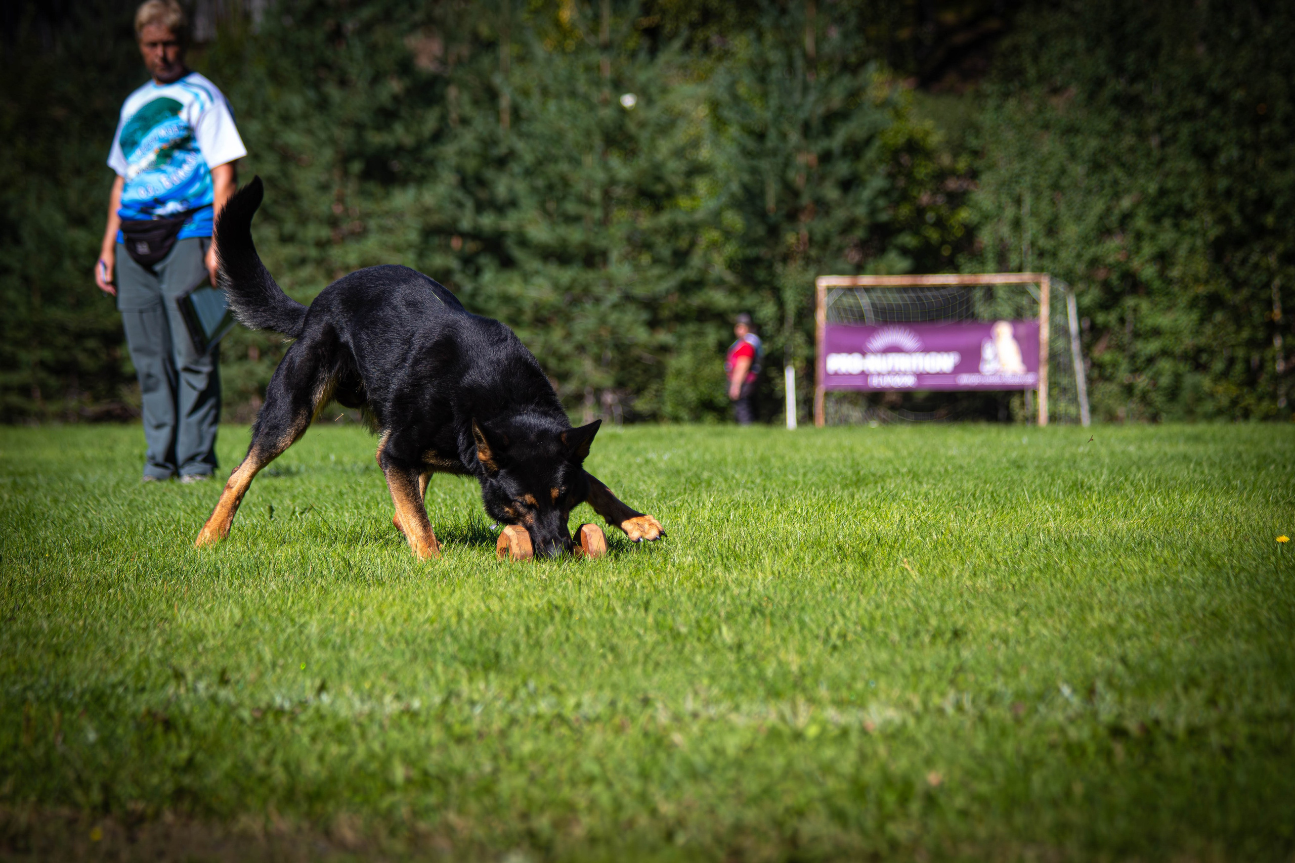 Фотограф анималист репортаж. Фотограф анималист — Тула, Москва