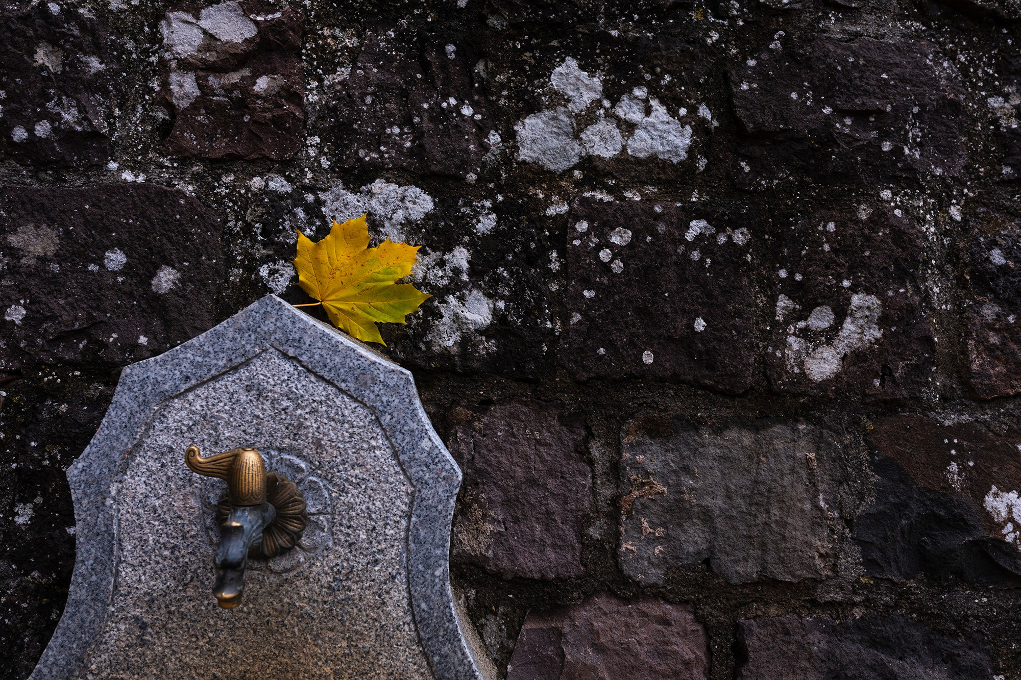 Визуальный мир