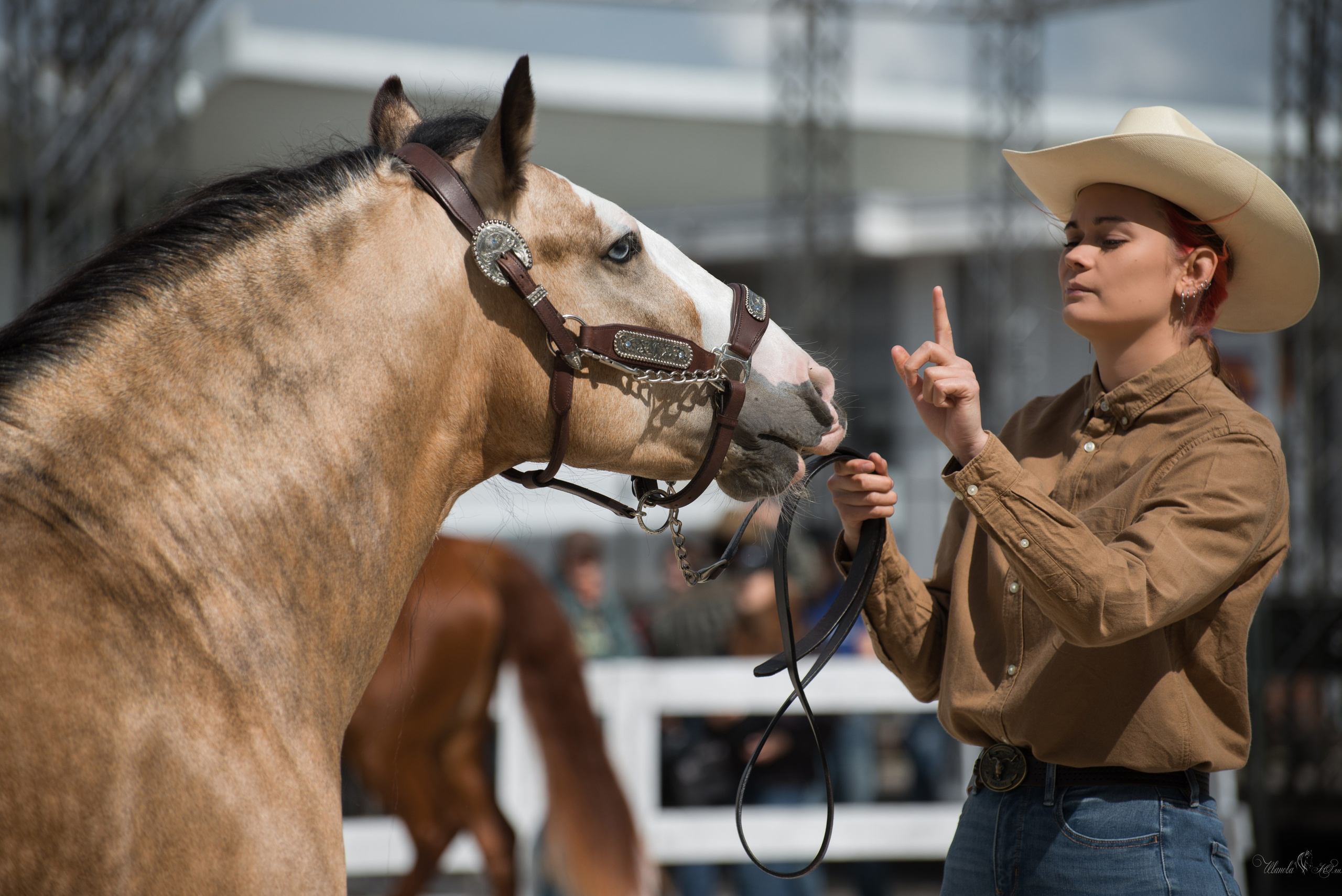 Эквирос, Москва. Конный фотограф в Саратове Юлия Иванова