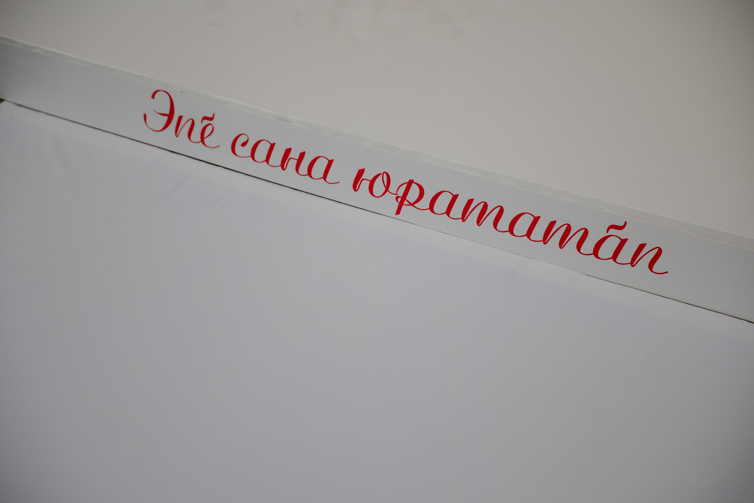 Ирина и Павел. Свадебный и репортажный фотограф г. Чебоксары Евгений Леонидович