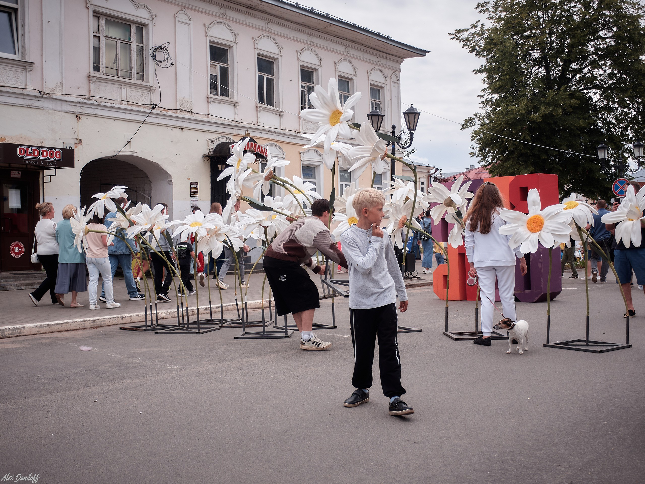 День семьи, любви и верности 2025. Муром-Инфо. Новости культуры, образования, спорта в городе Муром