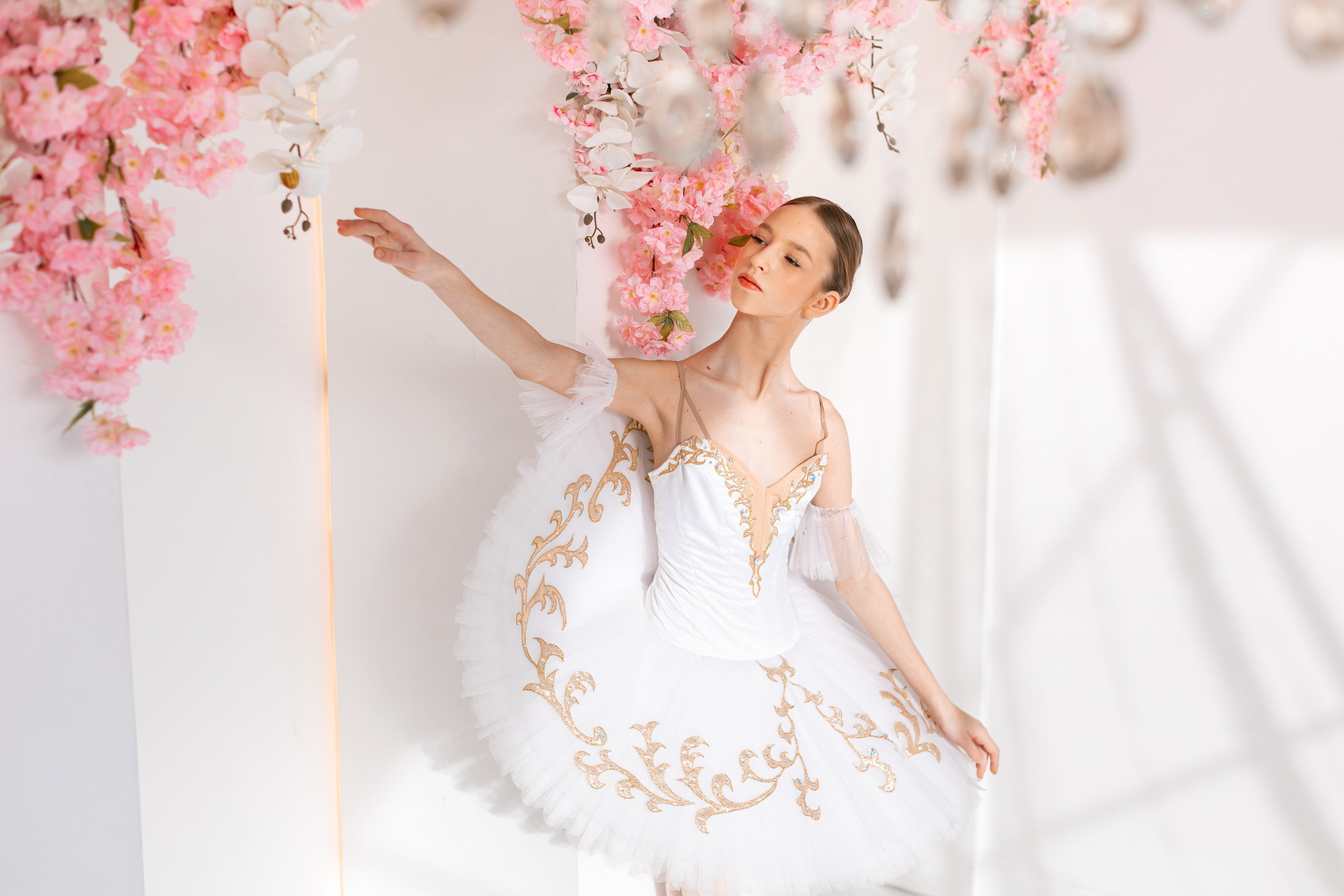 Балетная съёмка в интерьере. Балетный фотограф Алина Ханько — Душа Балета