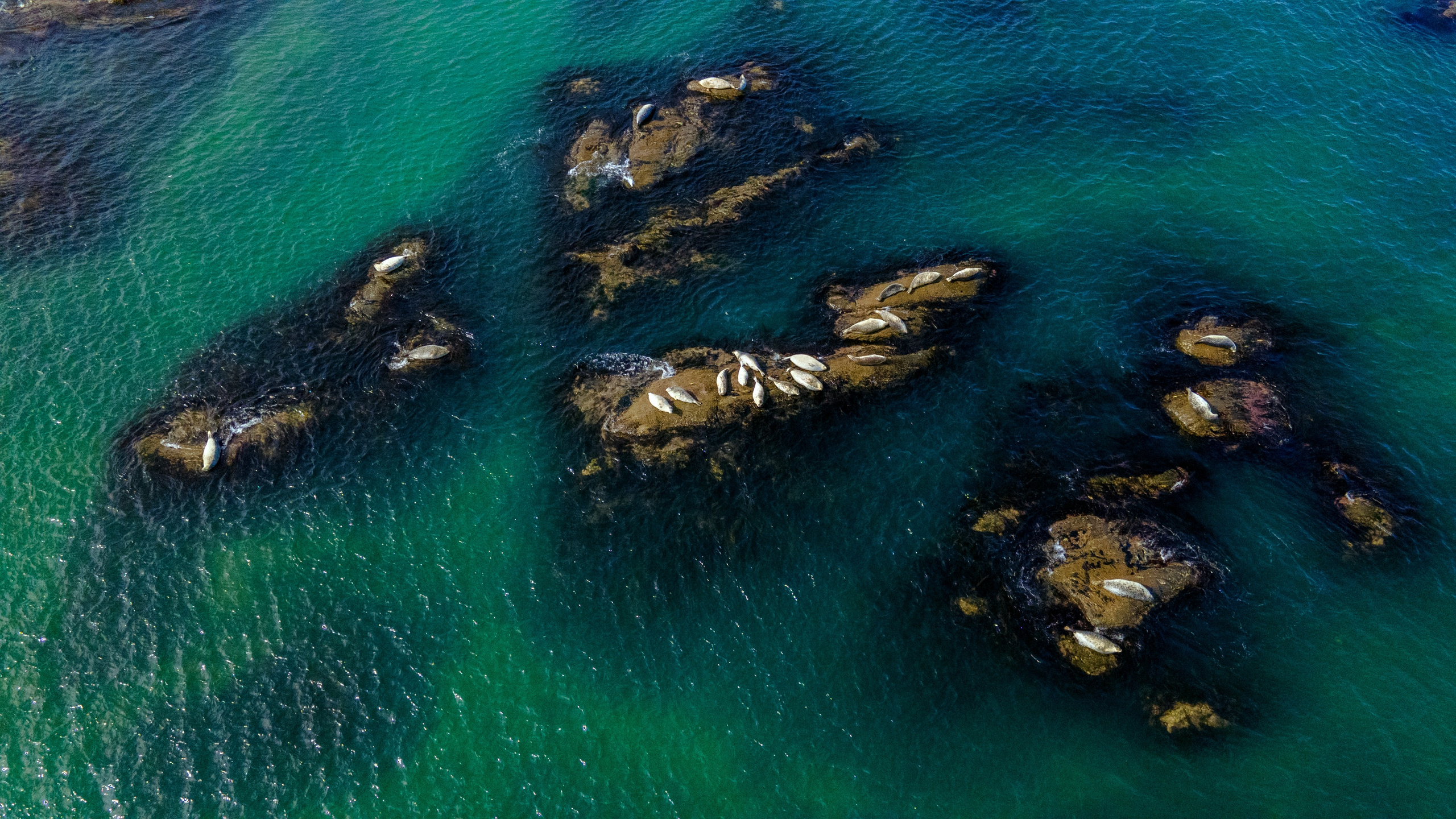 Шикотан. Тревел-фотограф Олег Гуров