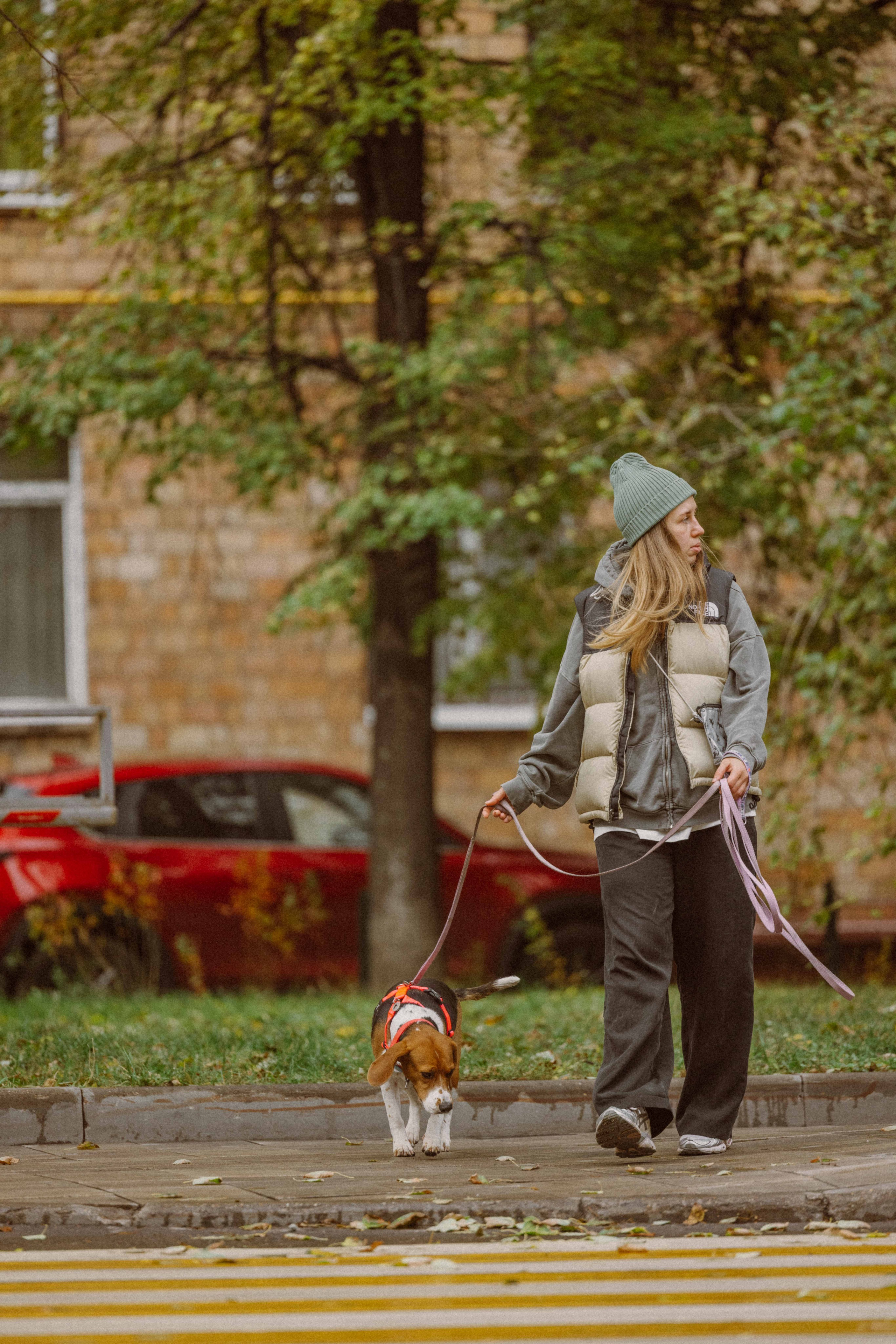 Света и Ива. Фотограф-анималист в Москве Лера Черноног