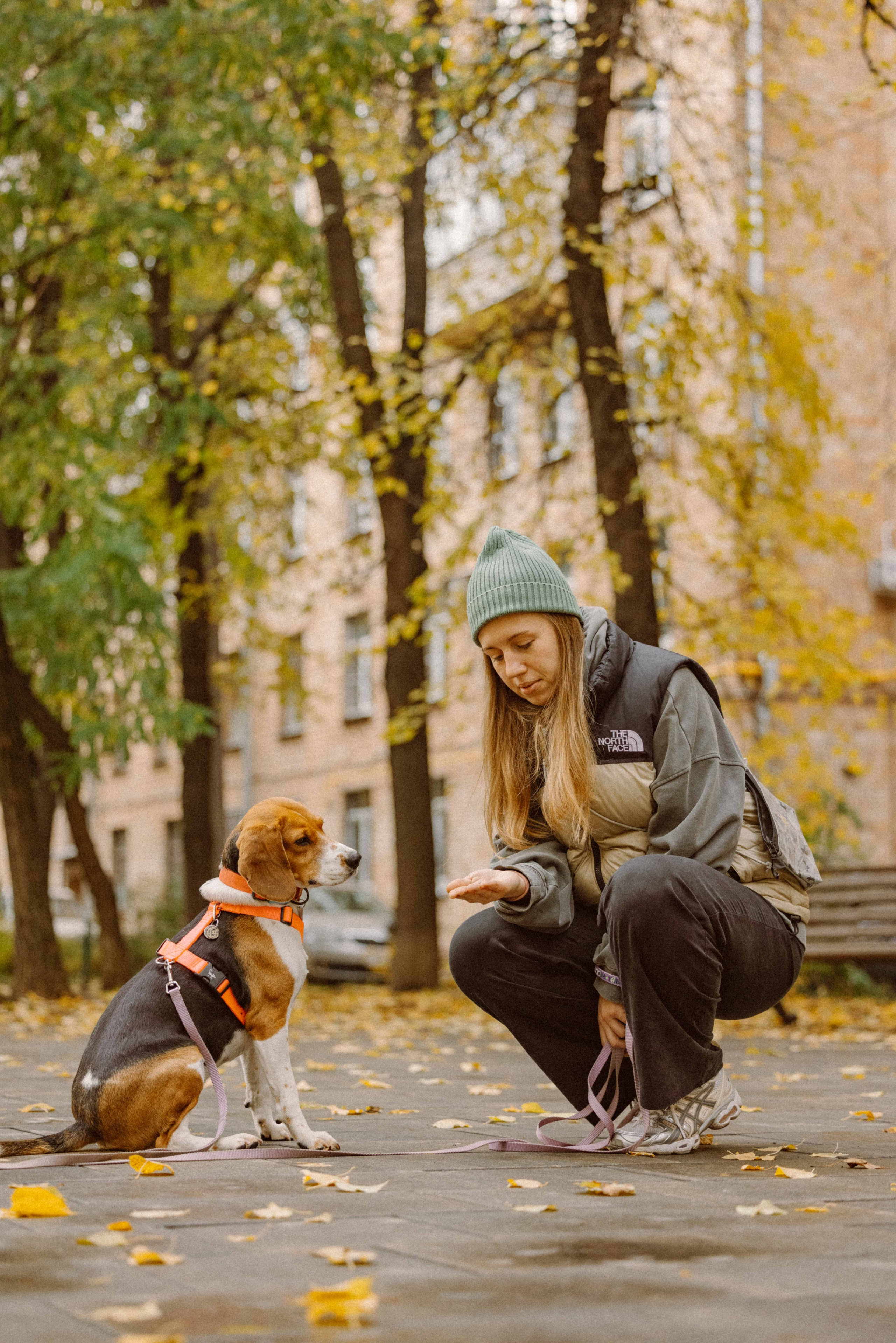 Света и Ива. Фотограф-анималист в Москве Лера Черноног