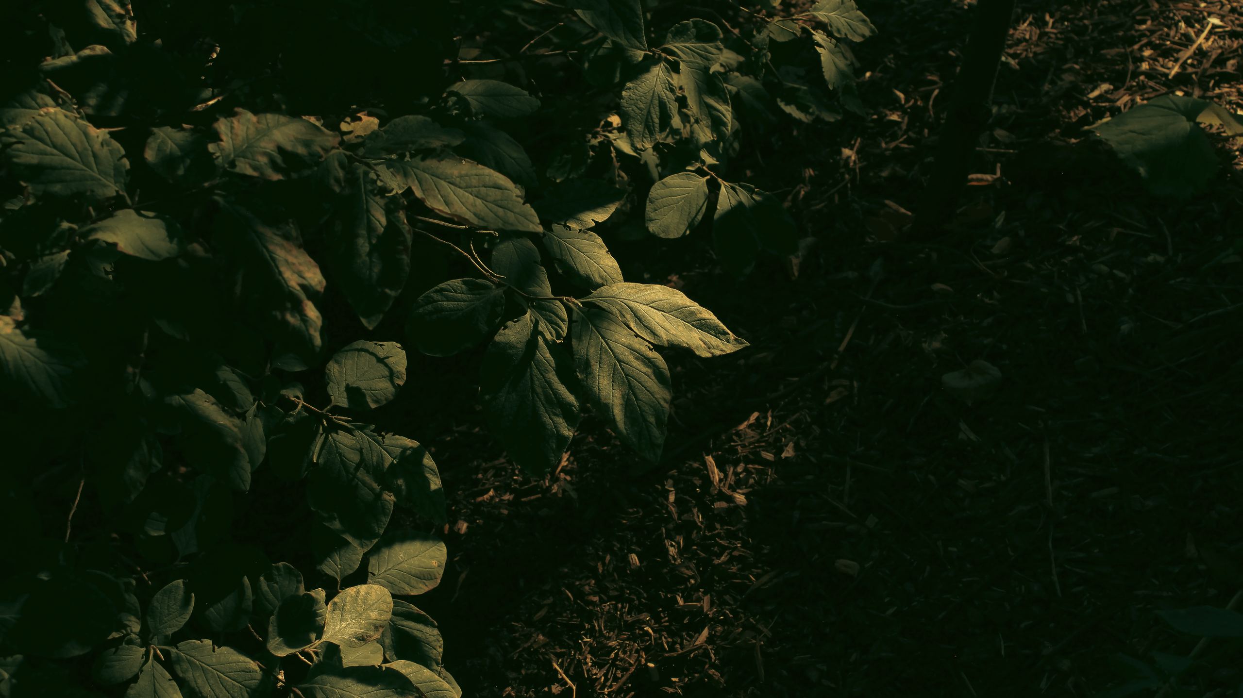 TMN ivapark '24. Фотограф/дизайнер в Екатеринбурге Хитрый Дмитрий